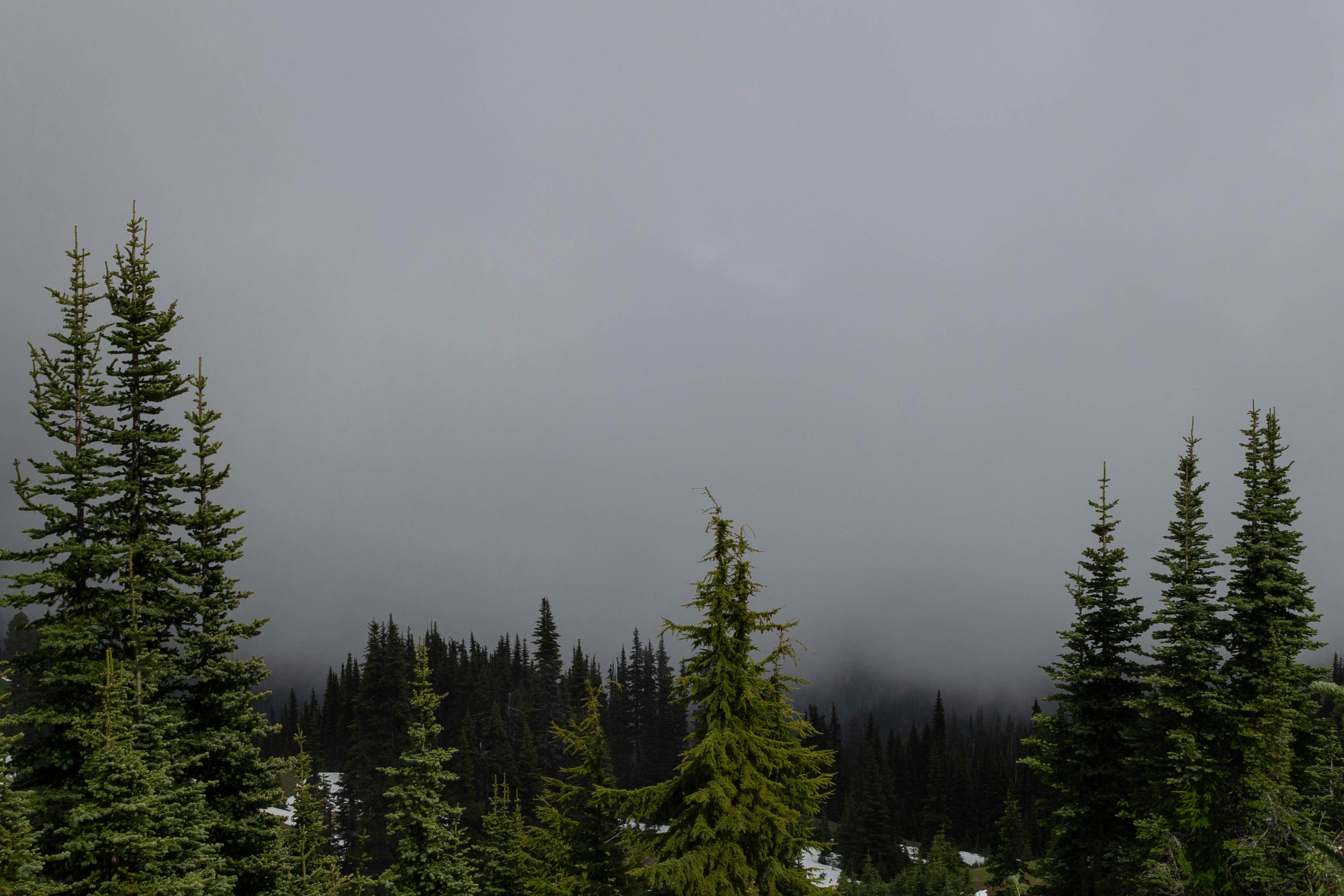 Photo by leslie_outofdoors