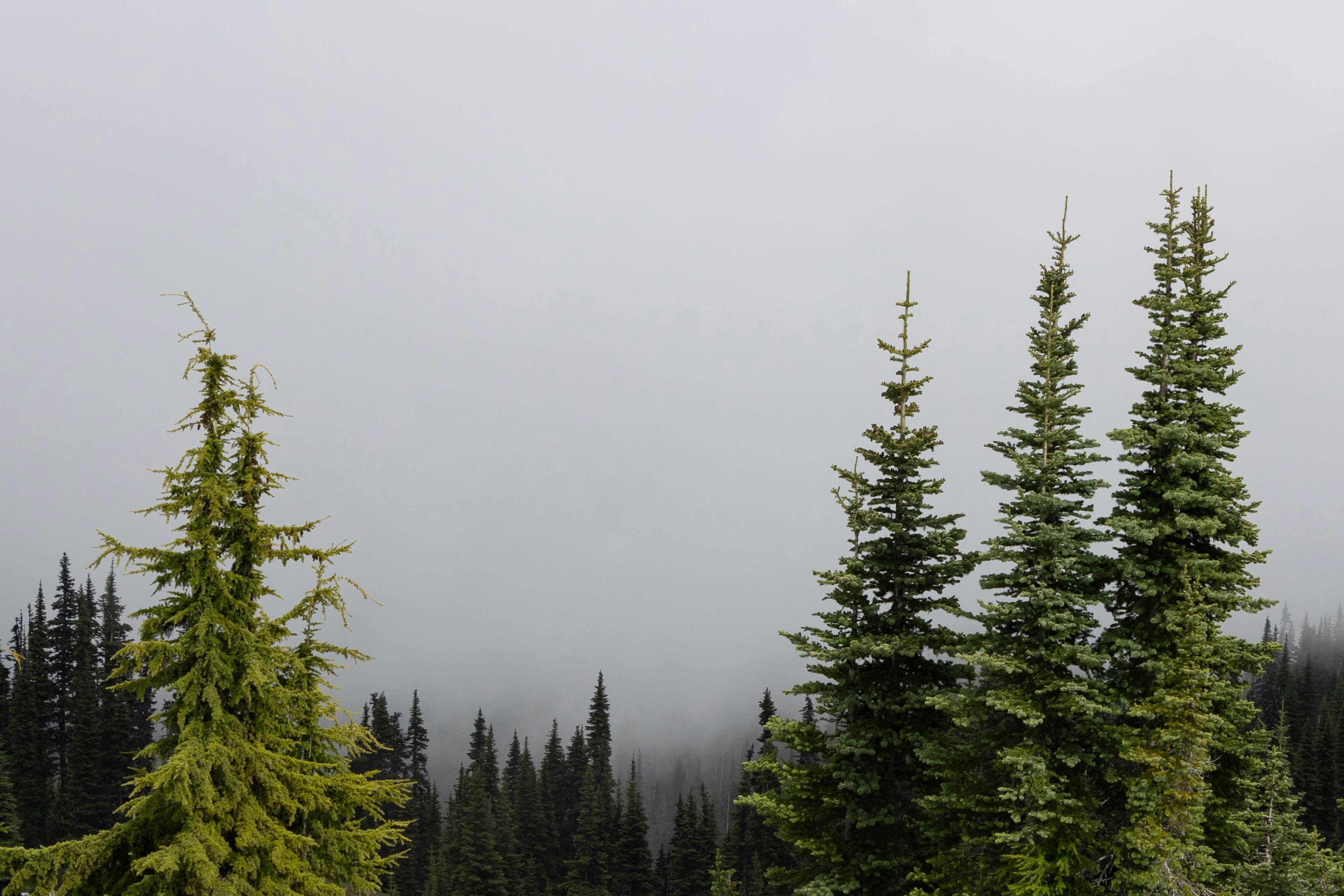 Photo by leslie_outofdoors