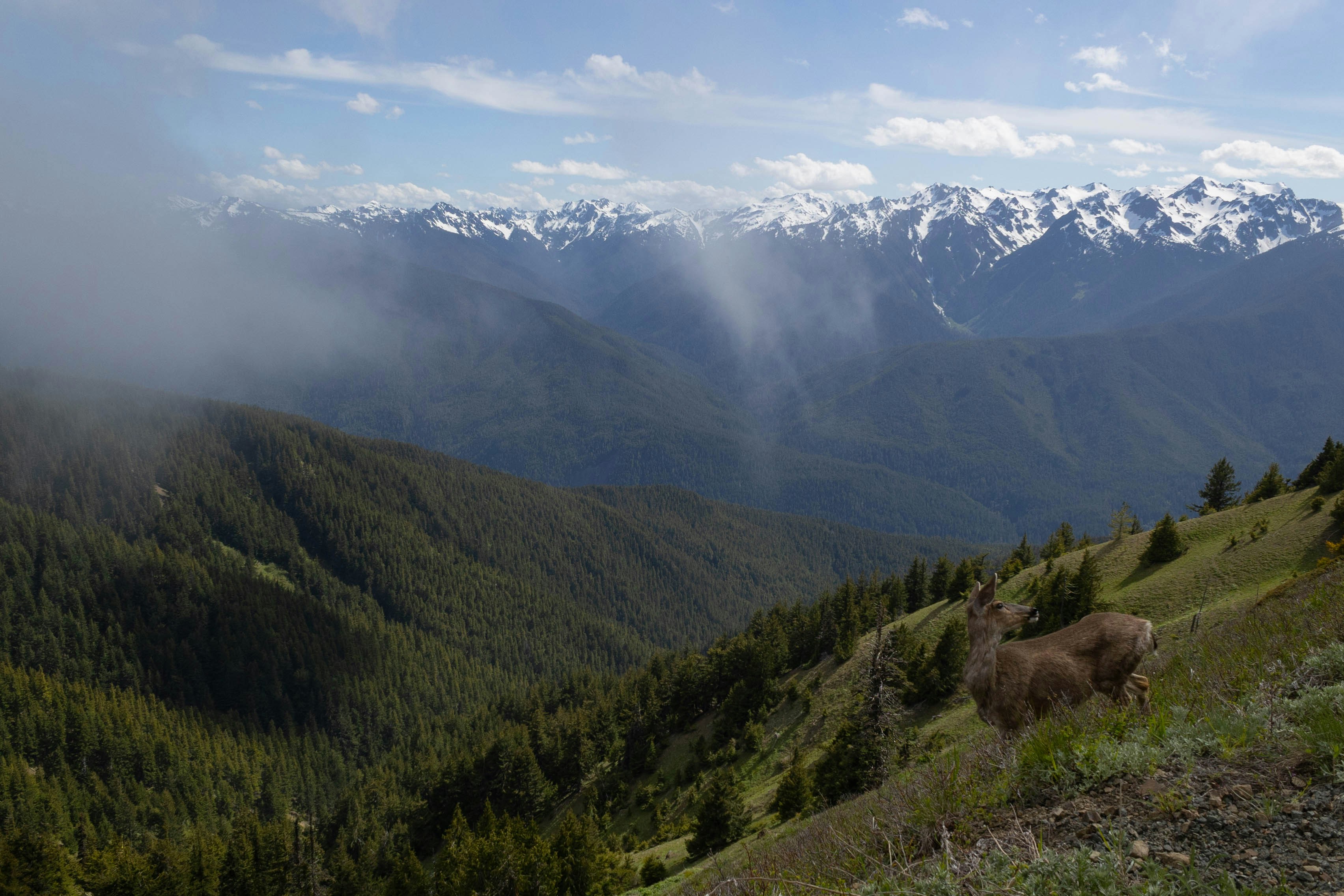 Photo by leslie_outofdoors