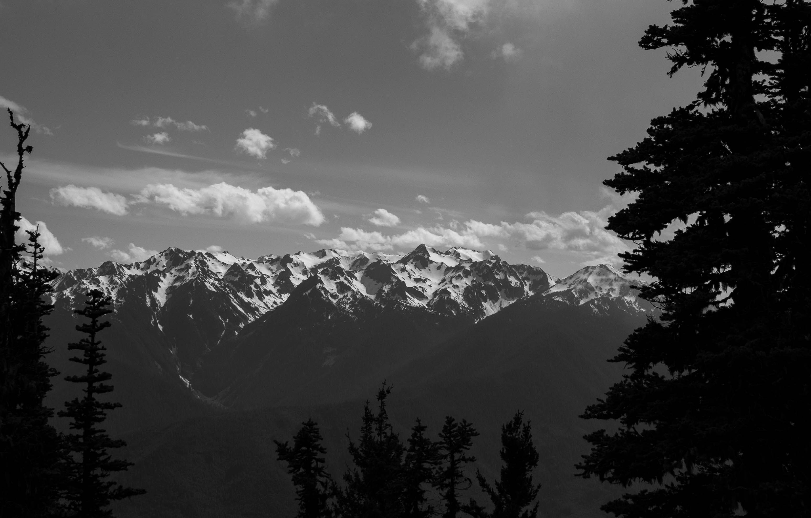 Photo by leslie_outofdoors