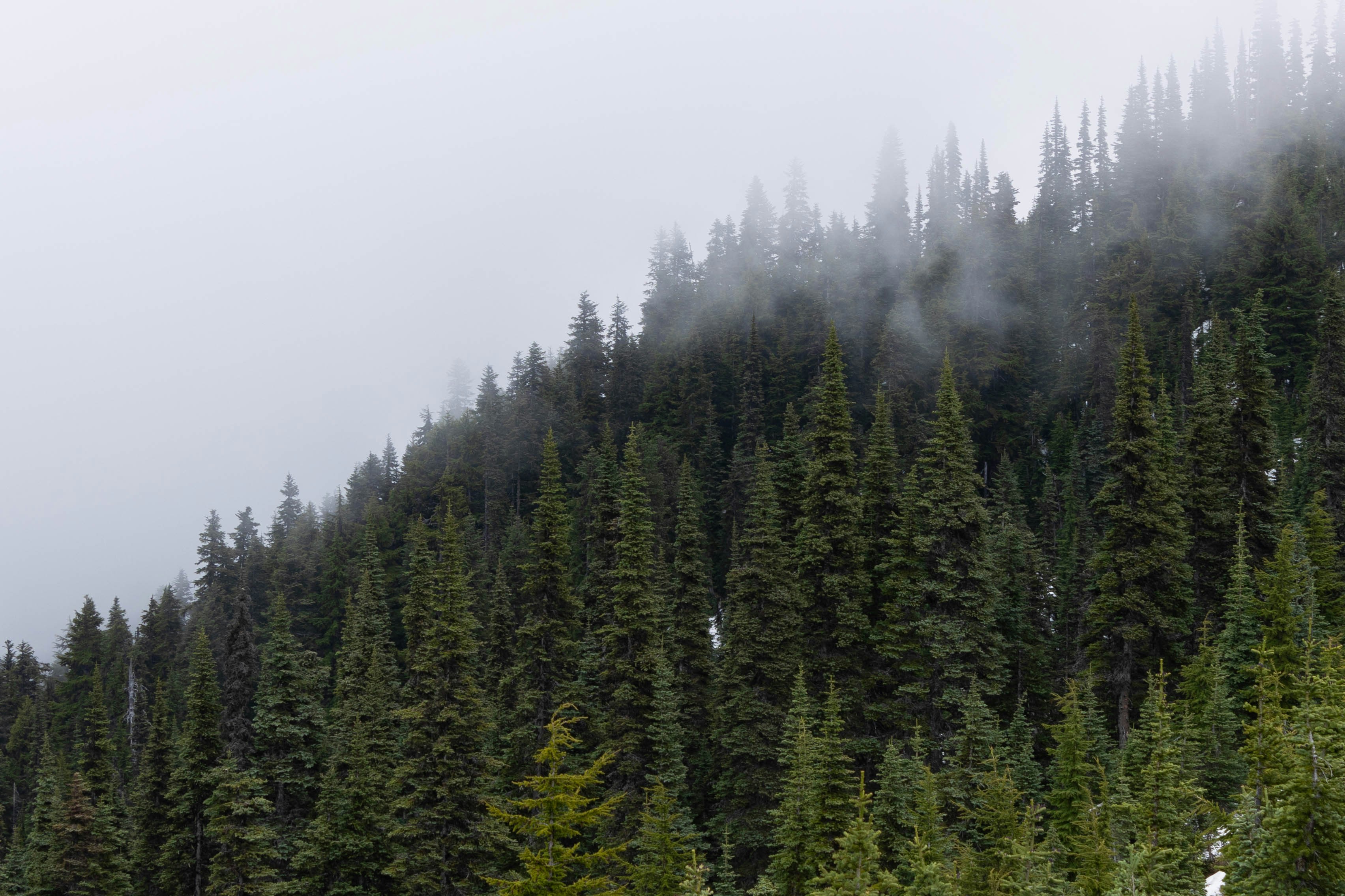 Photo by leslie_outofdoors