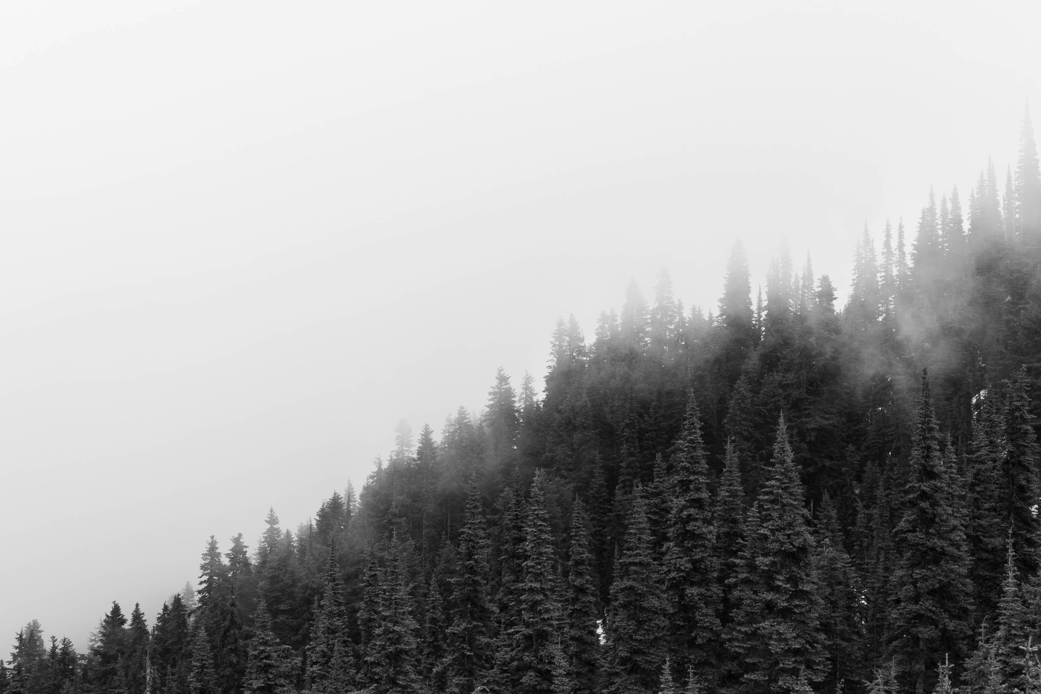 Photo by leslie_outofdoors