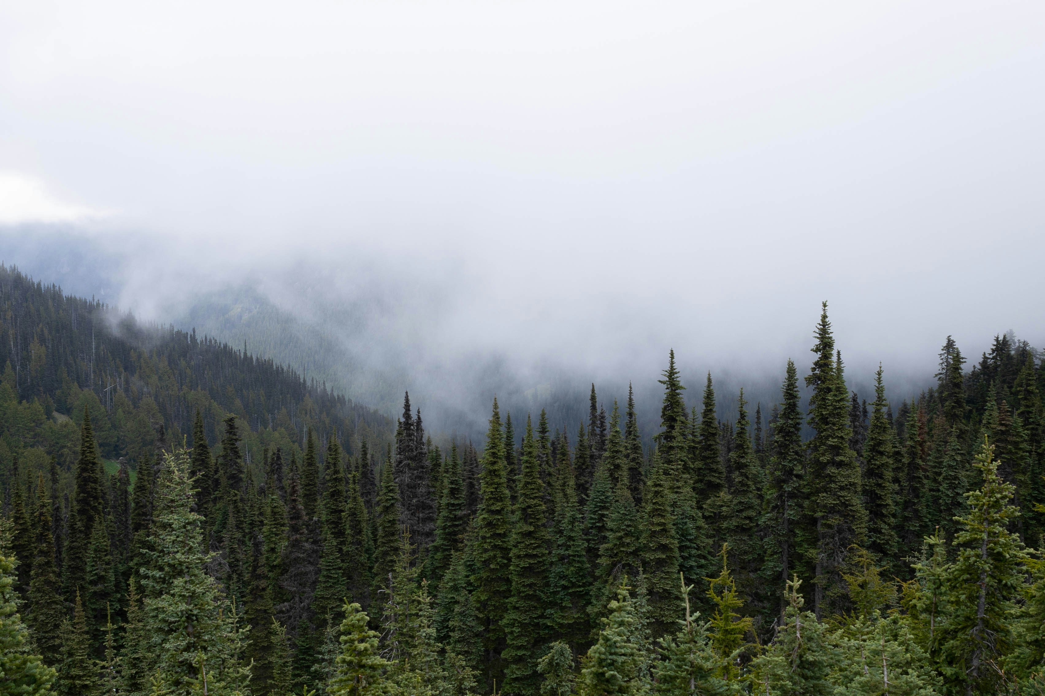 Photo by leslie_outofdoors