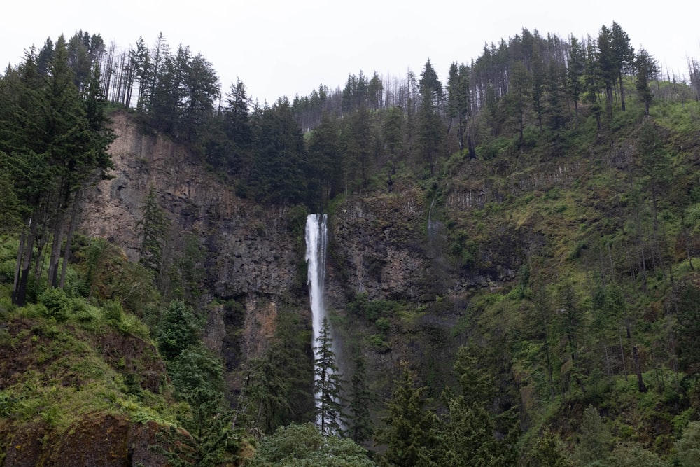 a waterfall in a forest