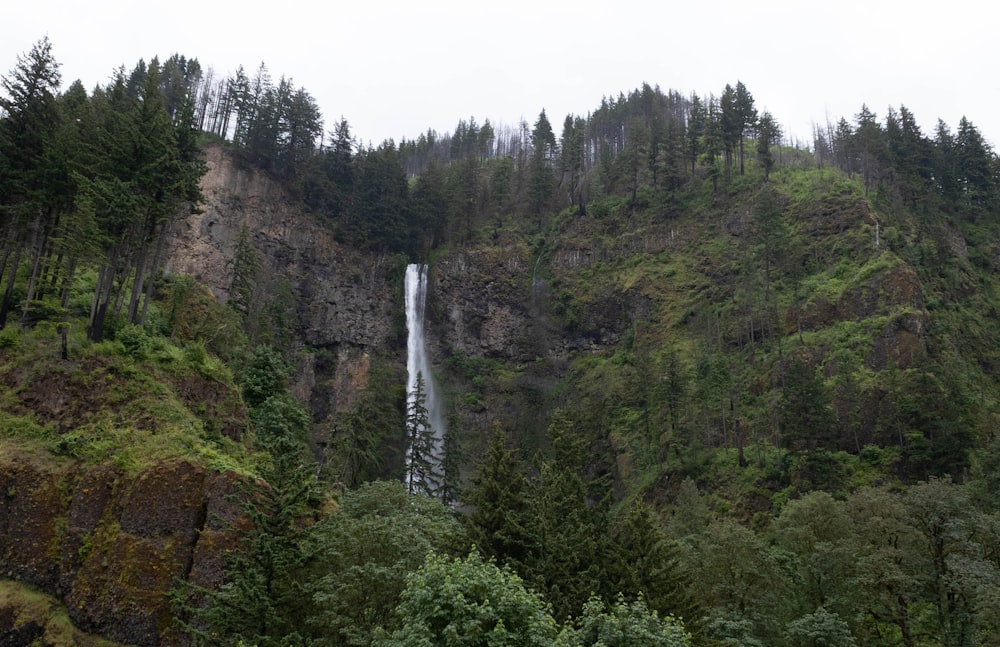 a waterfall in a forest