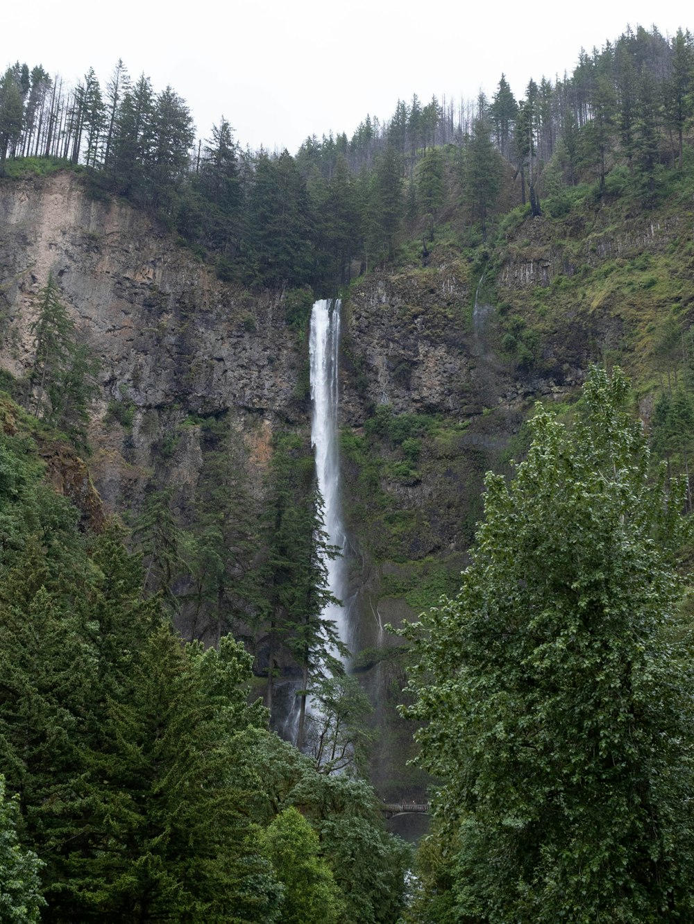 a waterfall in a forest