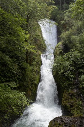 Columbia River Gorge - it's an 80 mile stretch, there are 108 named waterfalls to find