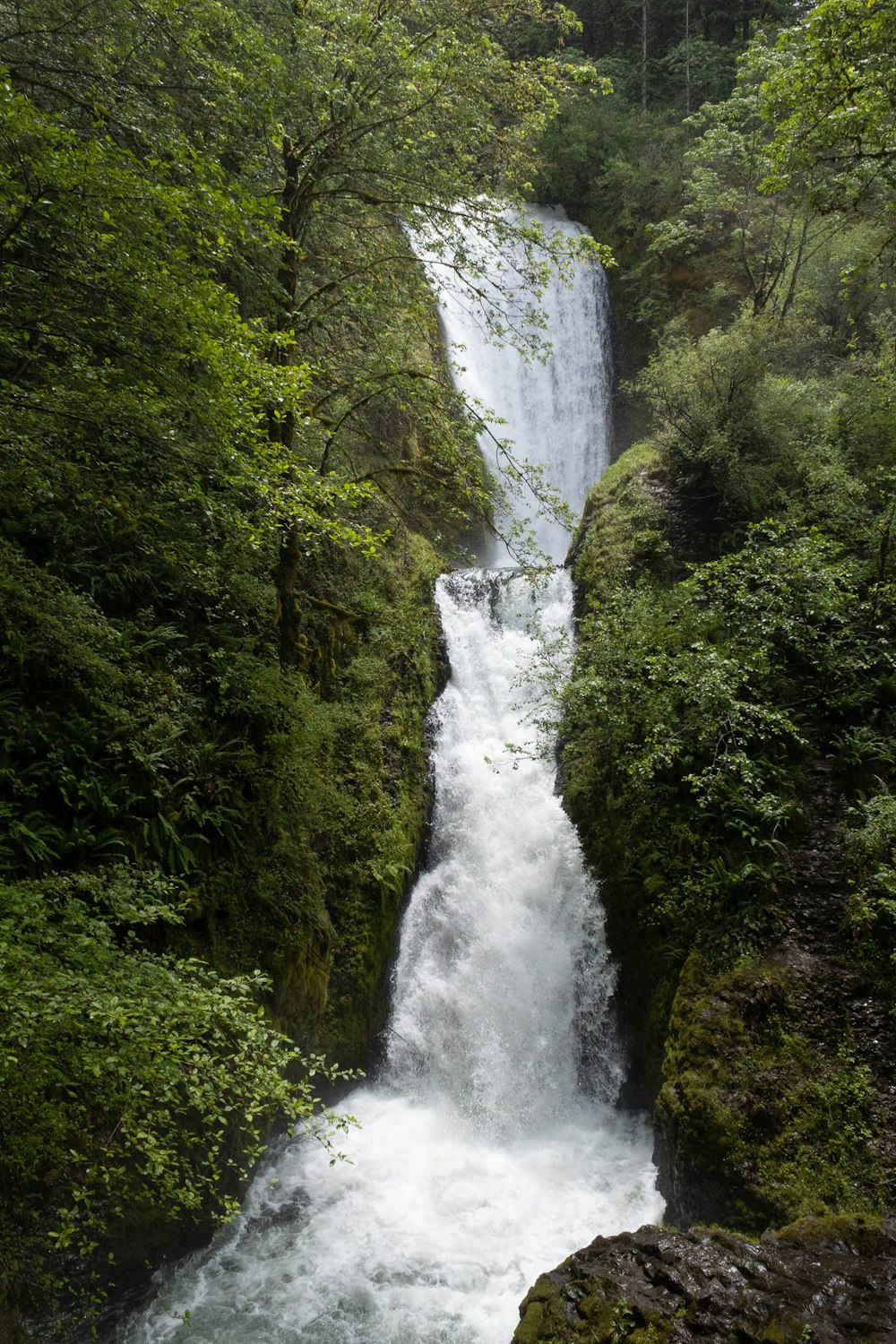 a waterfall in a forest