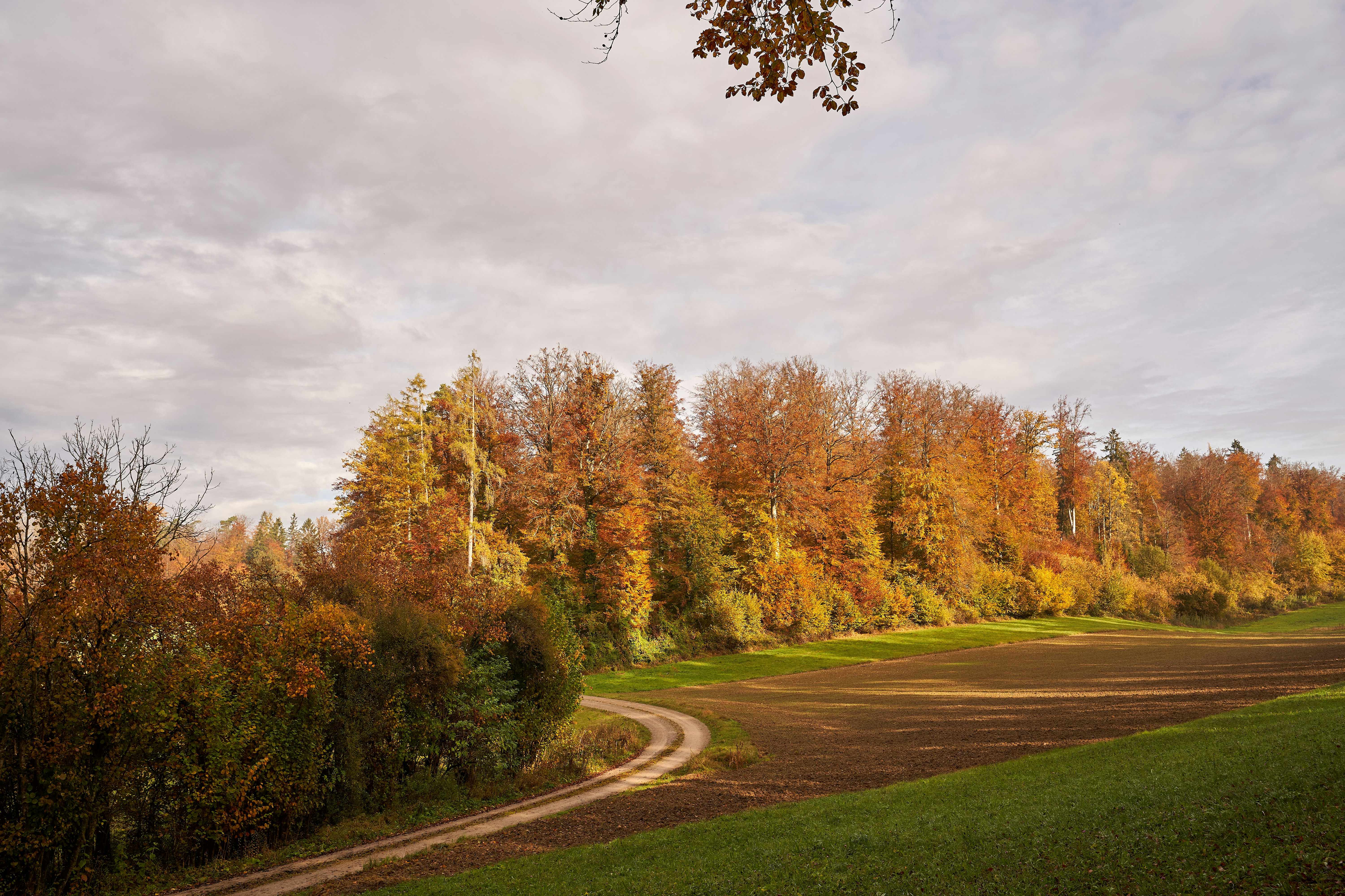 Photo by wolfgang_hasselmann