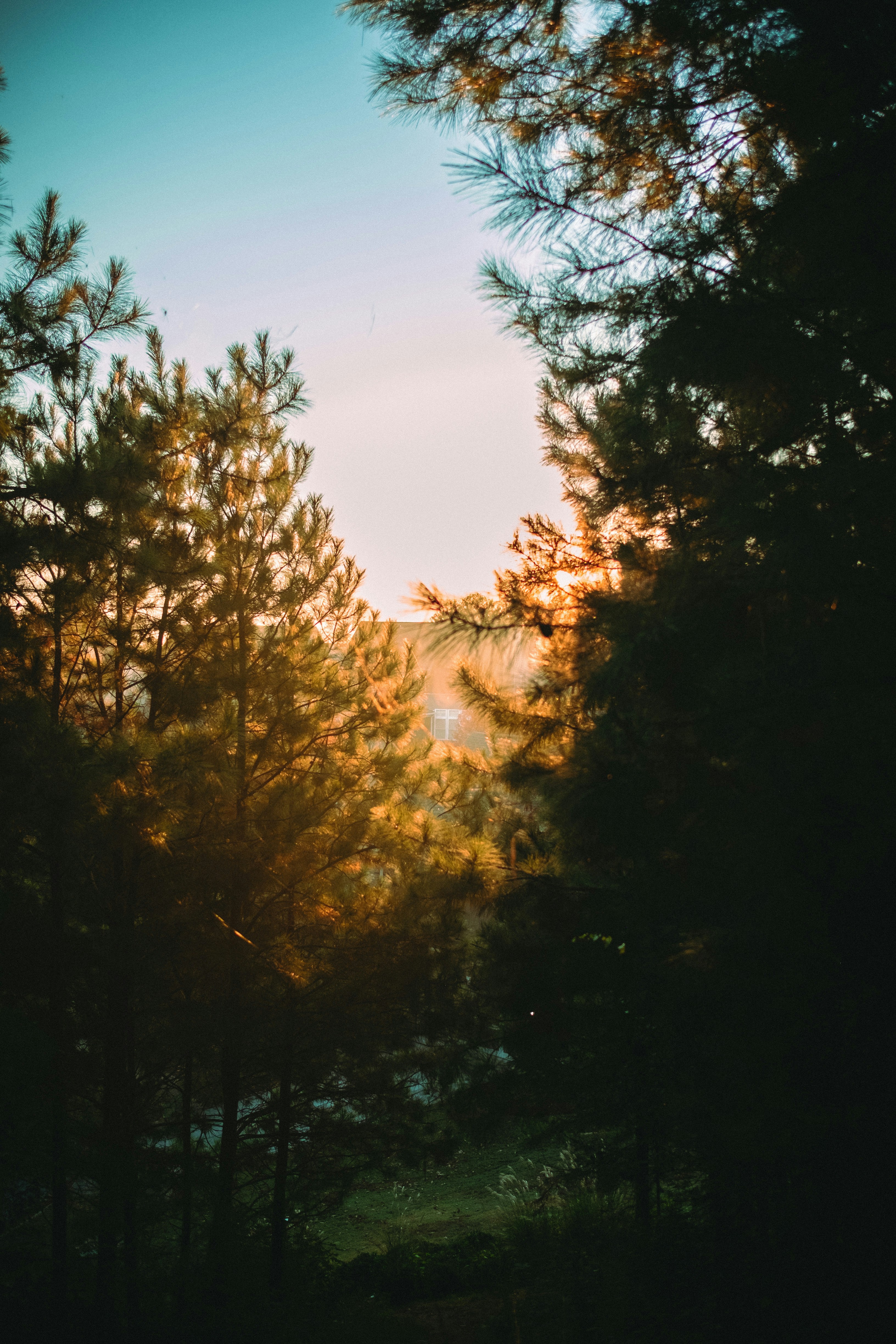 Photo by beangarbage