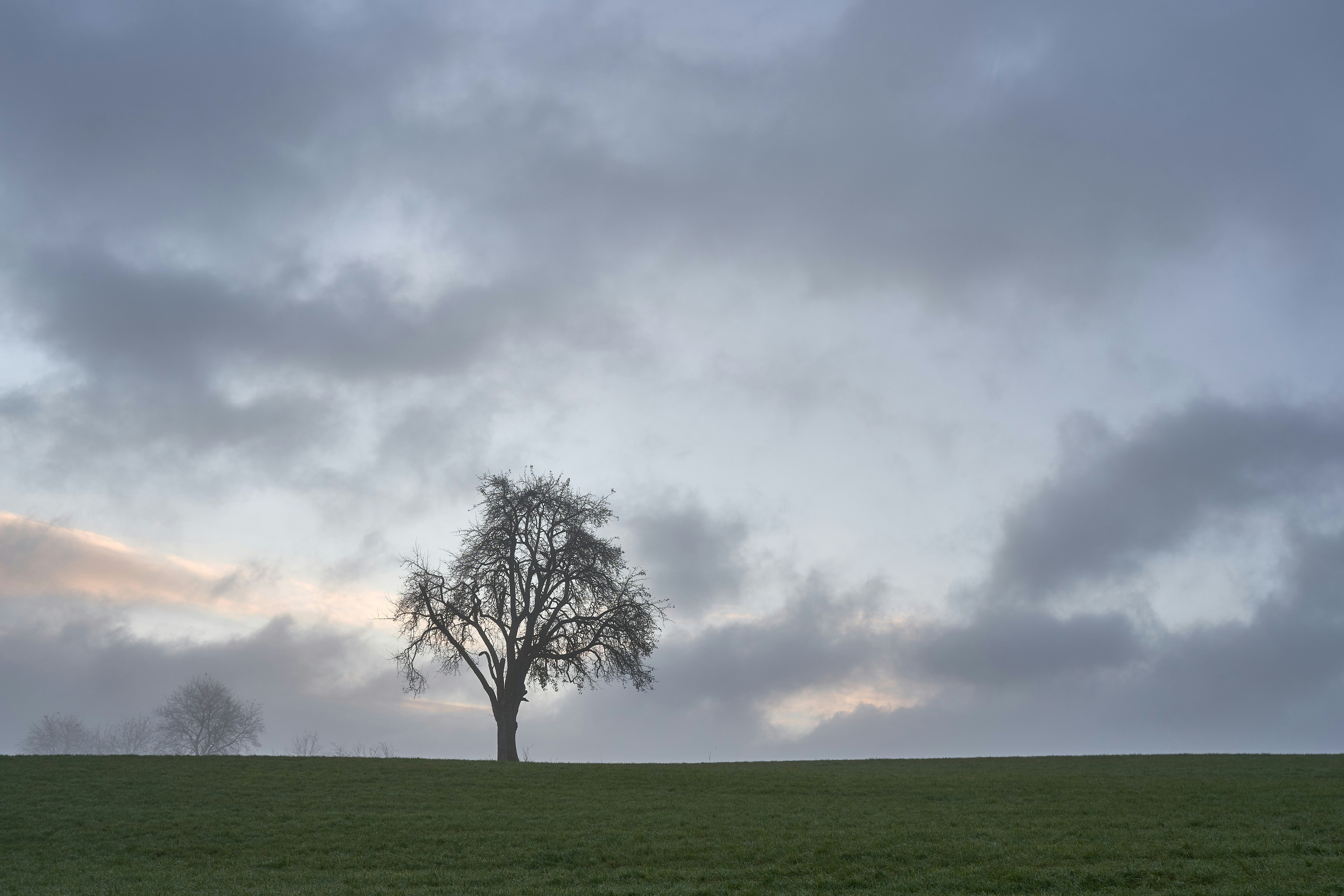 Photo by wolfgang_hasselmann