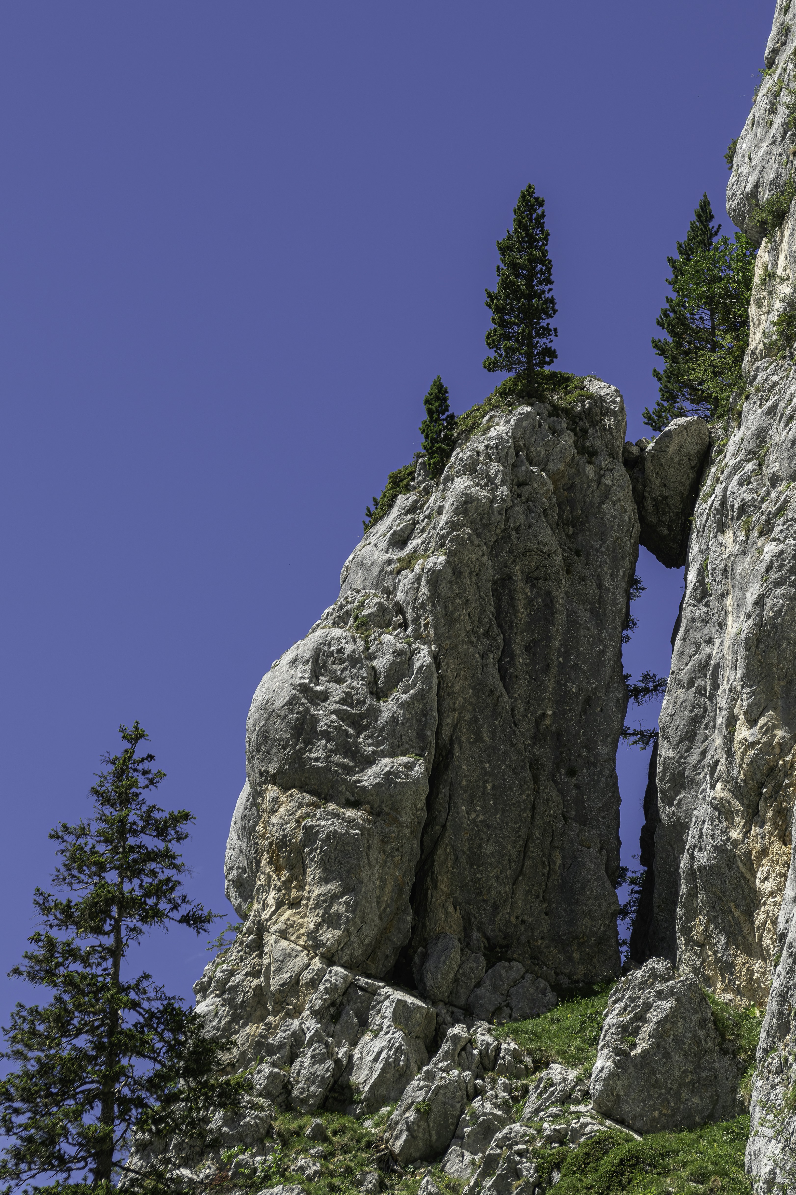 Photo by le_sixieme_reve