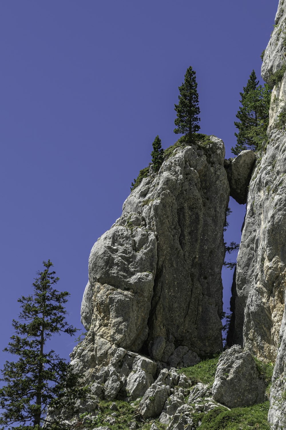 a rocky cliff with trees