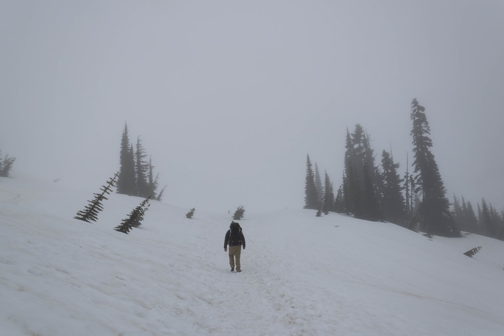 a person walking on a snowy hill