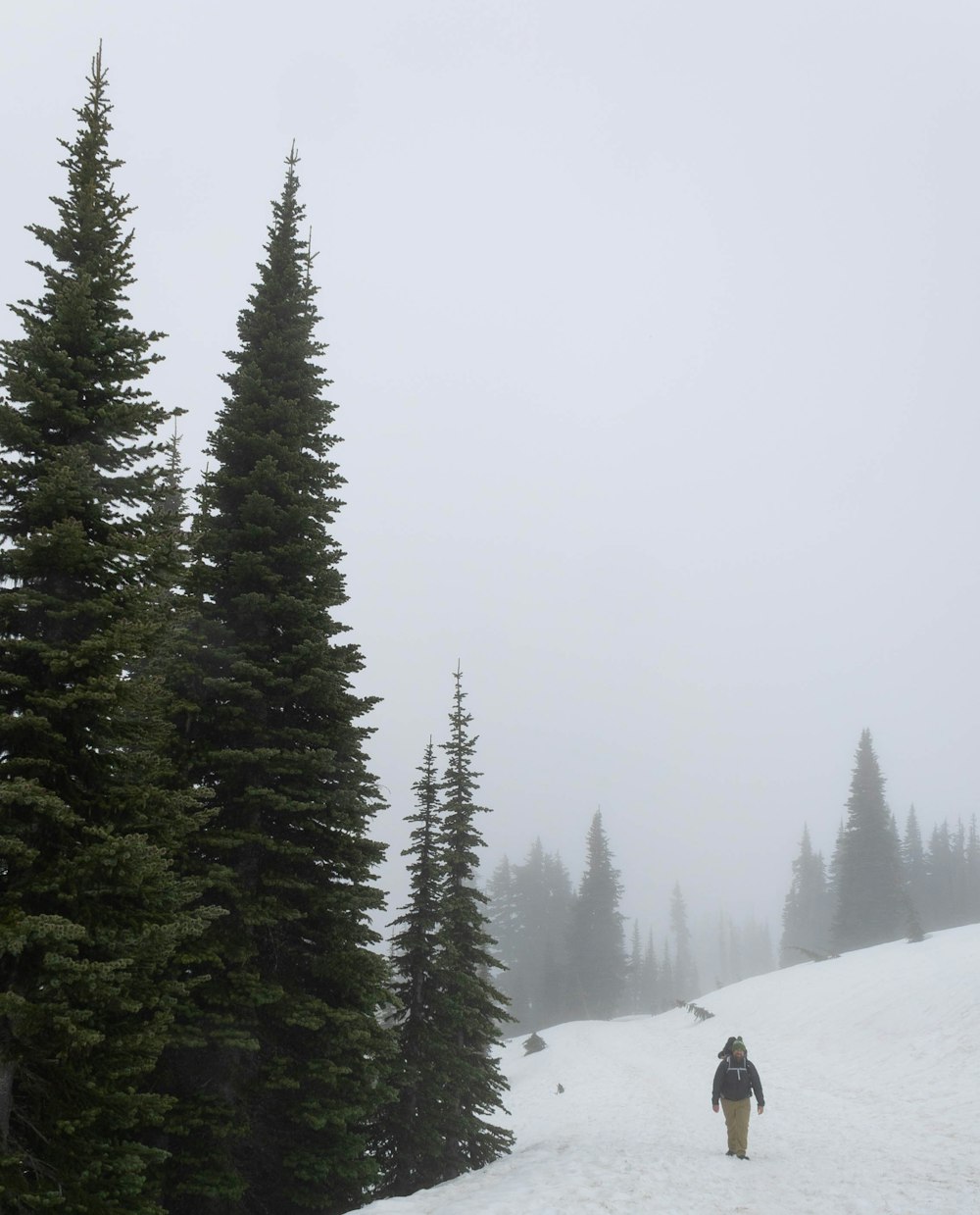 a person walking on a snowy path