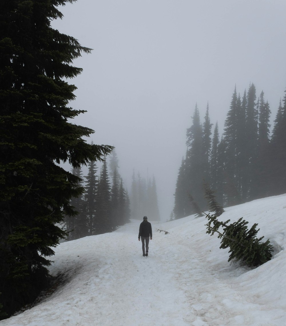 a person walking on a snowy path