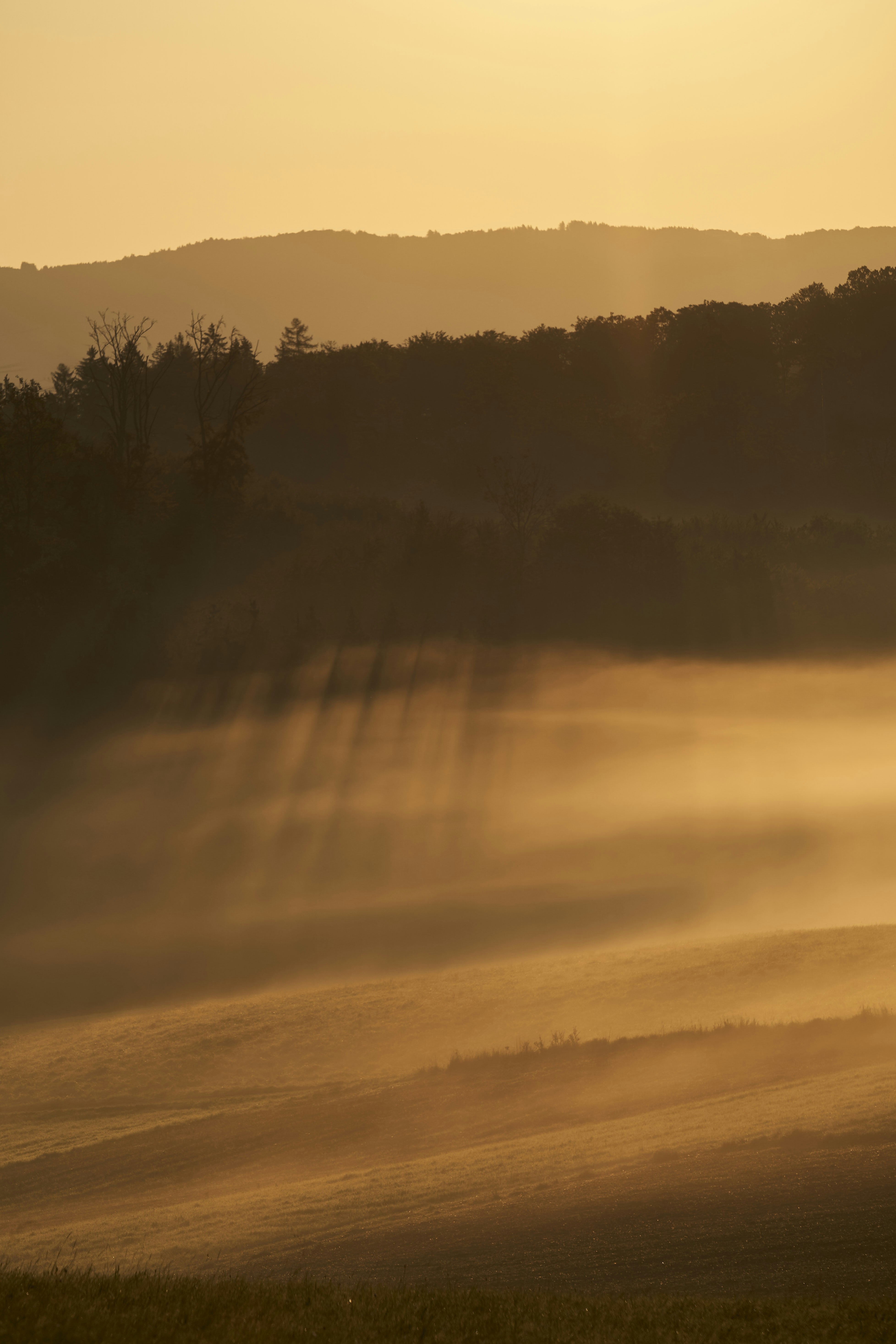 Photo by wolfgang_hasselmann