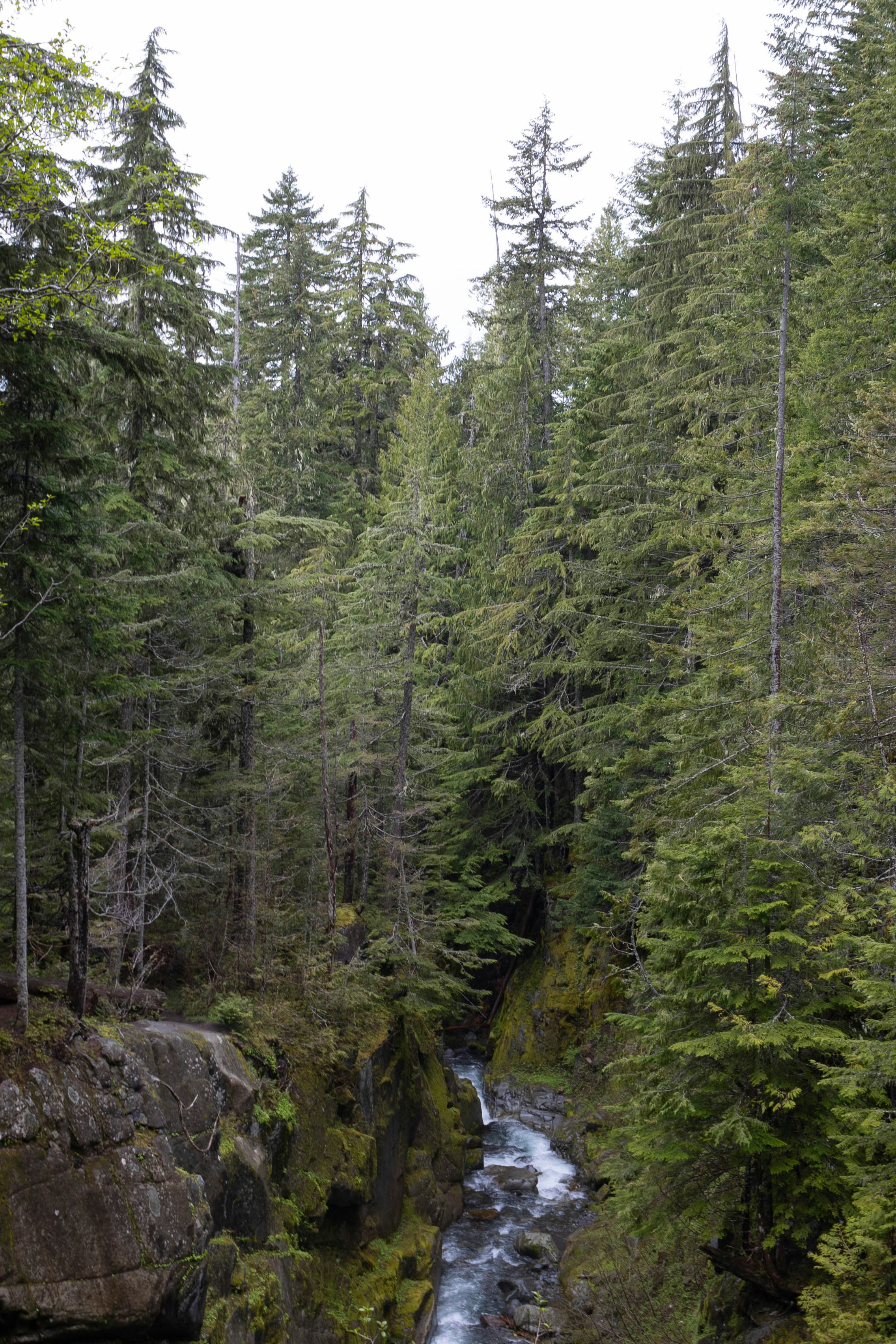 Photo by leslie_outofdoors