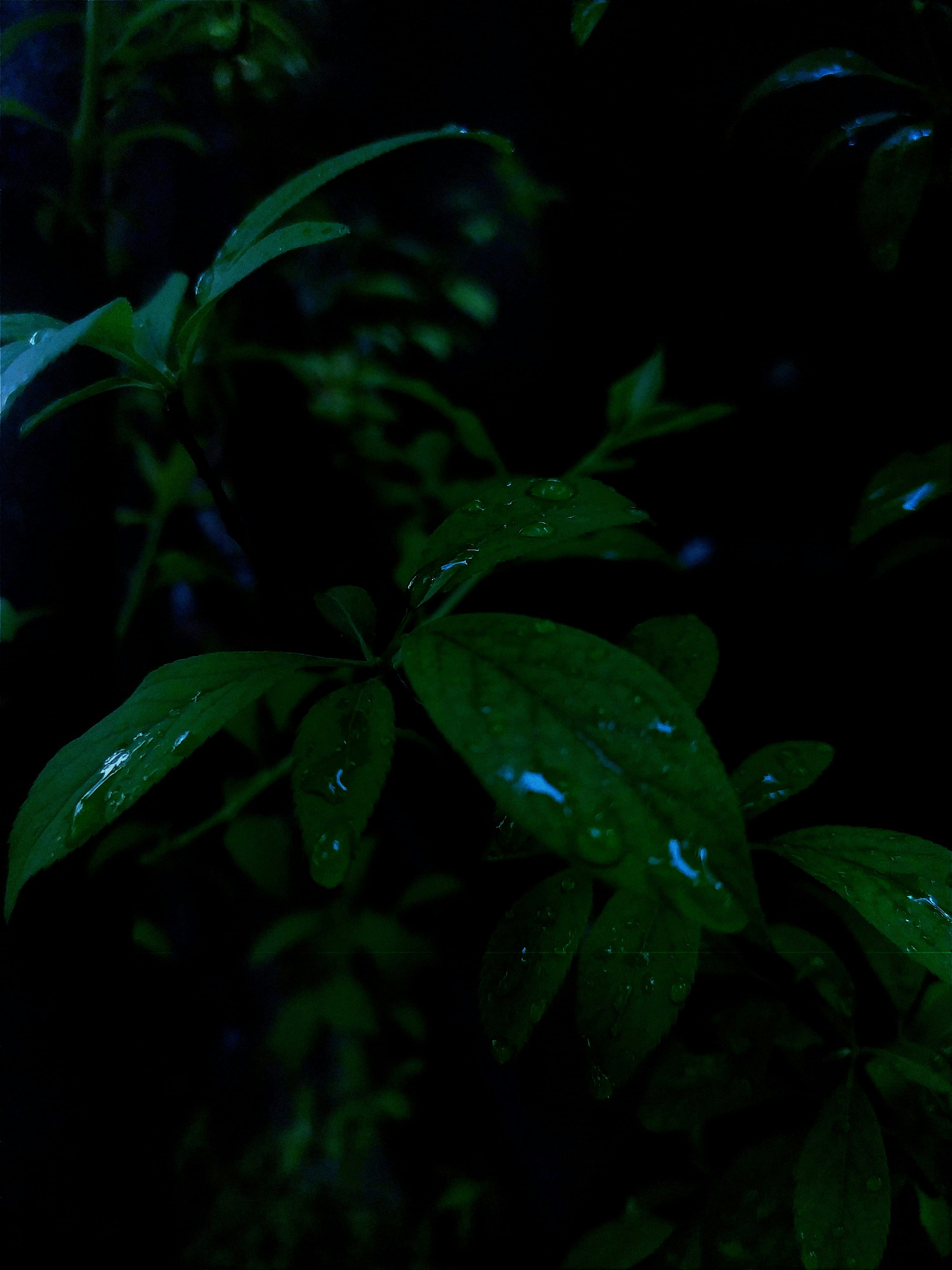Photo by aastikmaurya