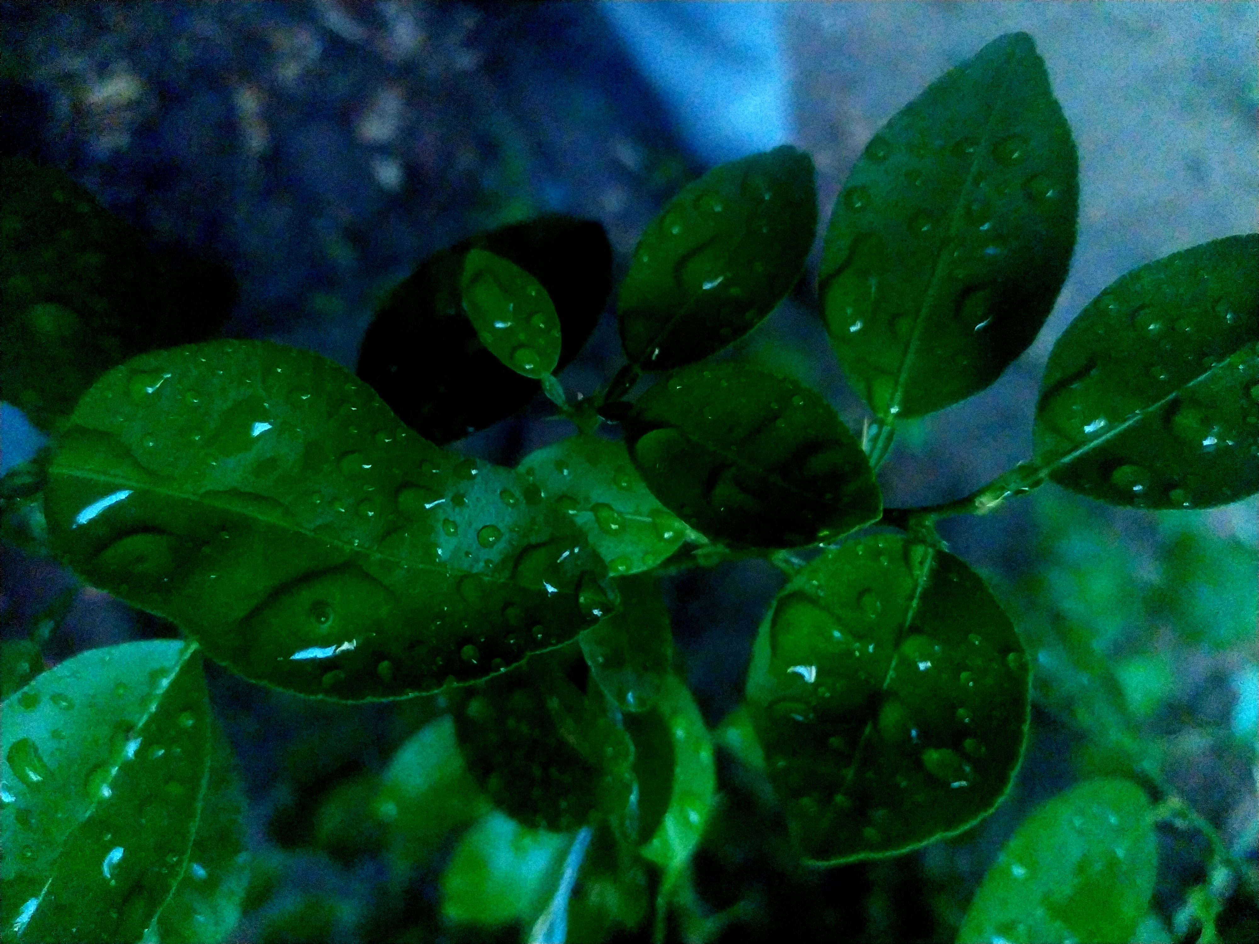 太陽光発電で酸性雨の原因物質削減効果は？SOx・NOx排出抑制関連画像