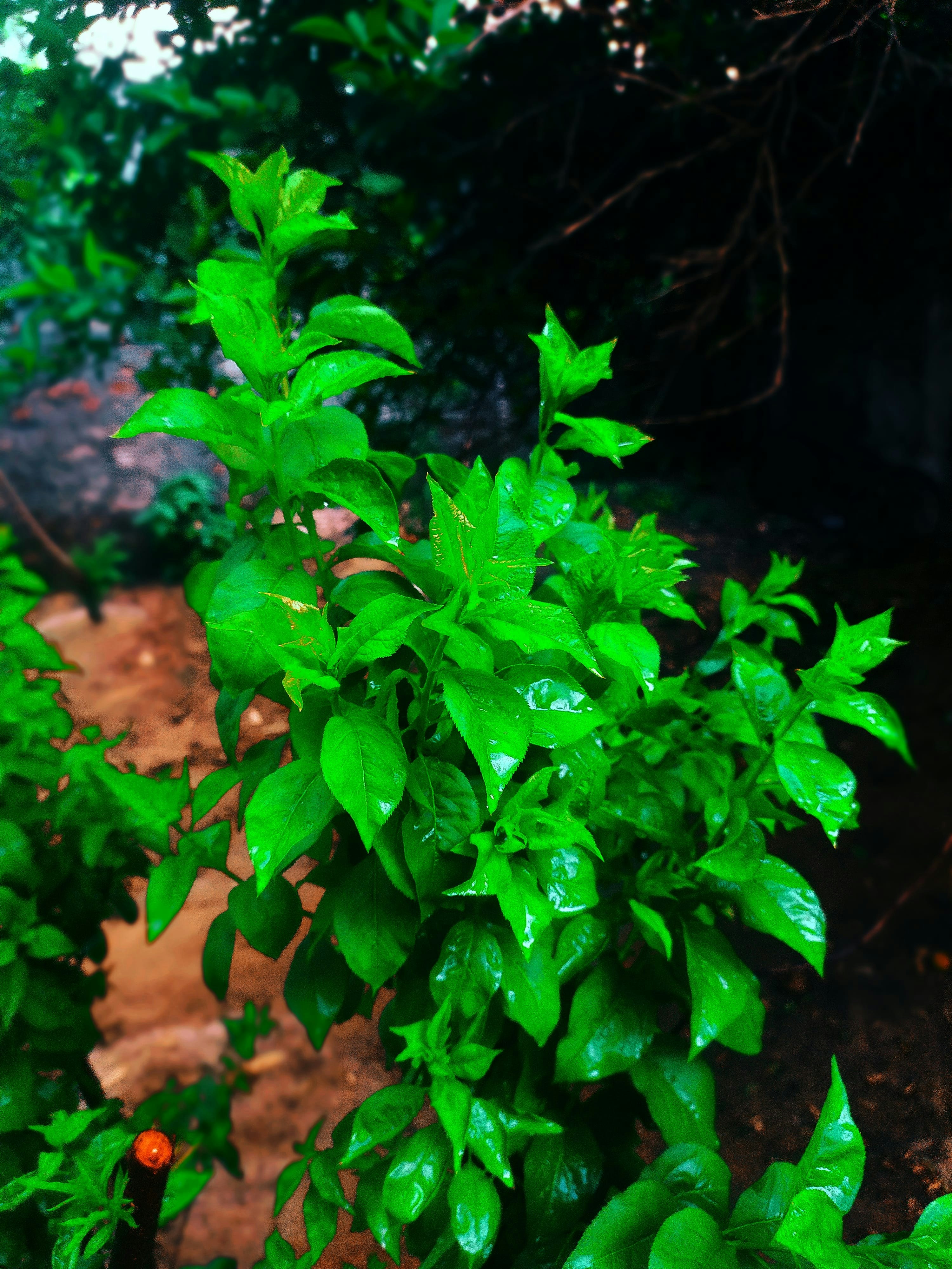 Photo by aastikmaurya