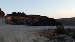A rural road winds alongside a large pile of stacked, discarded tires and other debris. Vegetation lines the road, including various bushes and a small plant in the foreground. The scene is set during what appears to be late afternoon or early evening, with the sky displaying light blue and pastel tones.