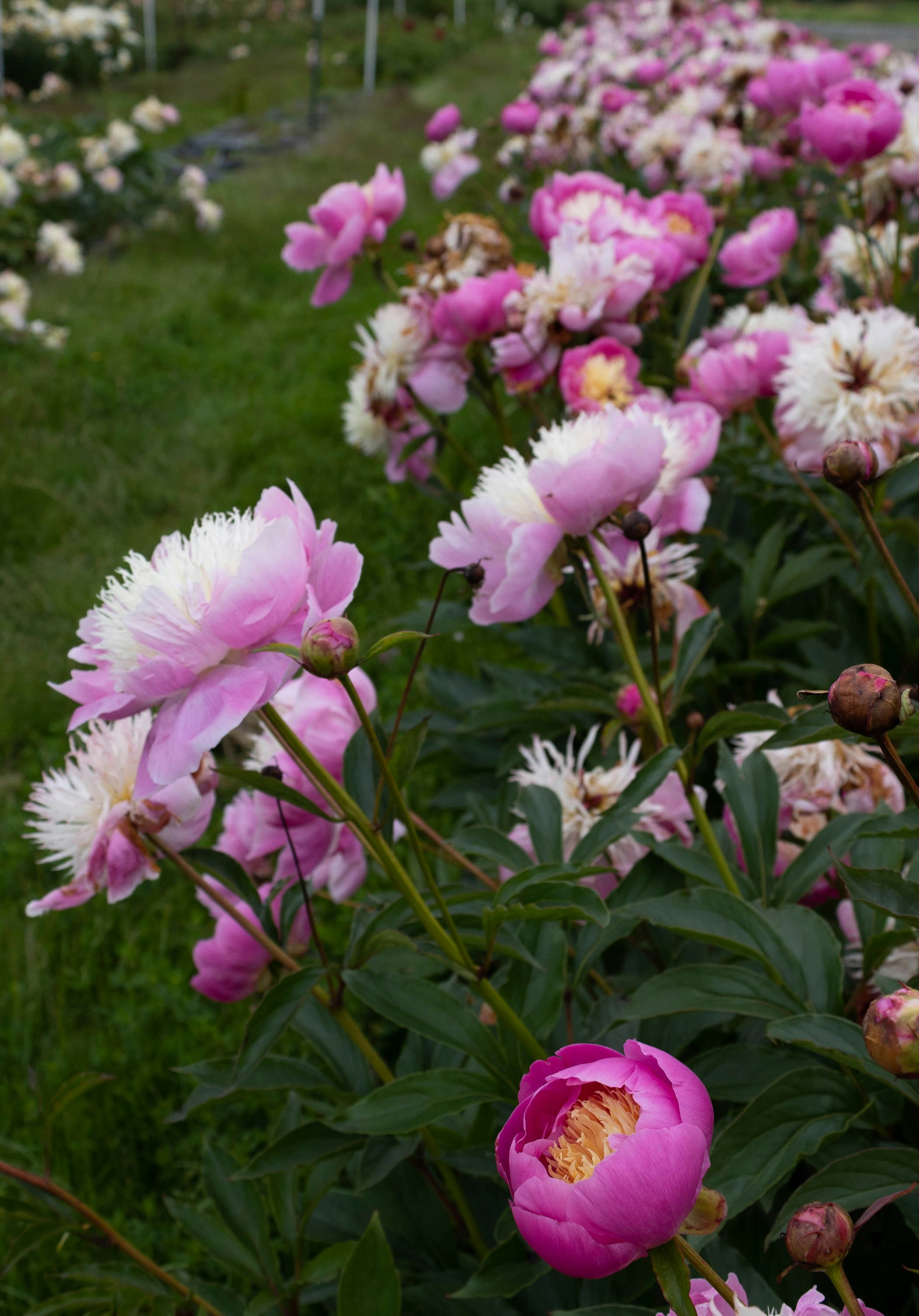 Photo by leslie_outofdoors