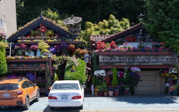 Two houses are adorned with various colorful flowers and plants that cover parts of the structures, creating a lush and vibrant appearance. Each house has a unique design, with one having a thatched roof and the other featuring tile roofing. There are numerous flowerpots at the entrance and bright blooms hanging from the walls and balconies. Two cars, one orange and one white, are parked in front of the houses.
