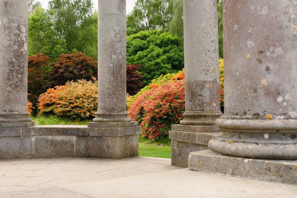 a group of pillars with plants in the background