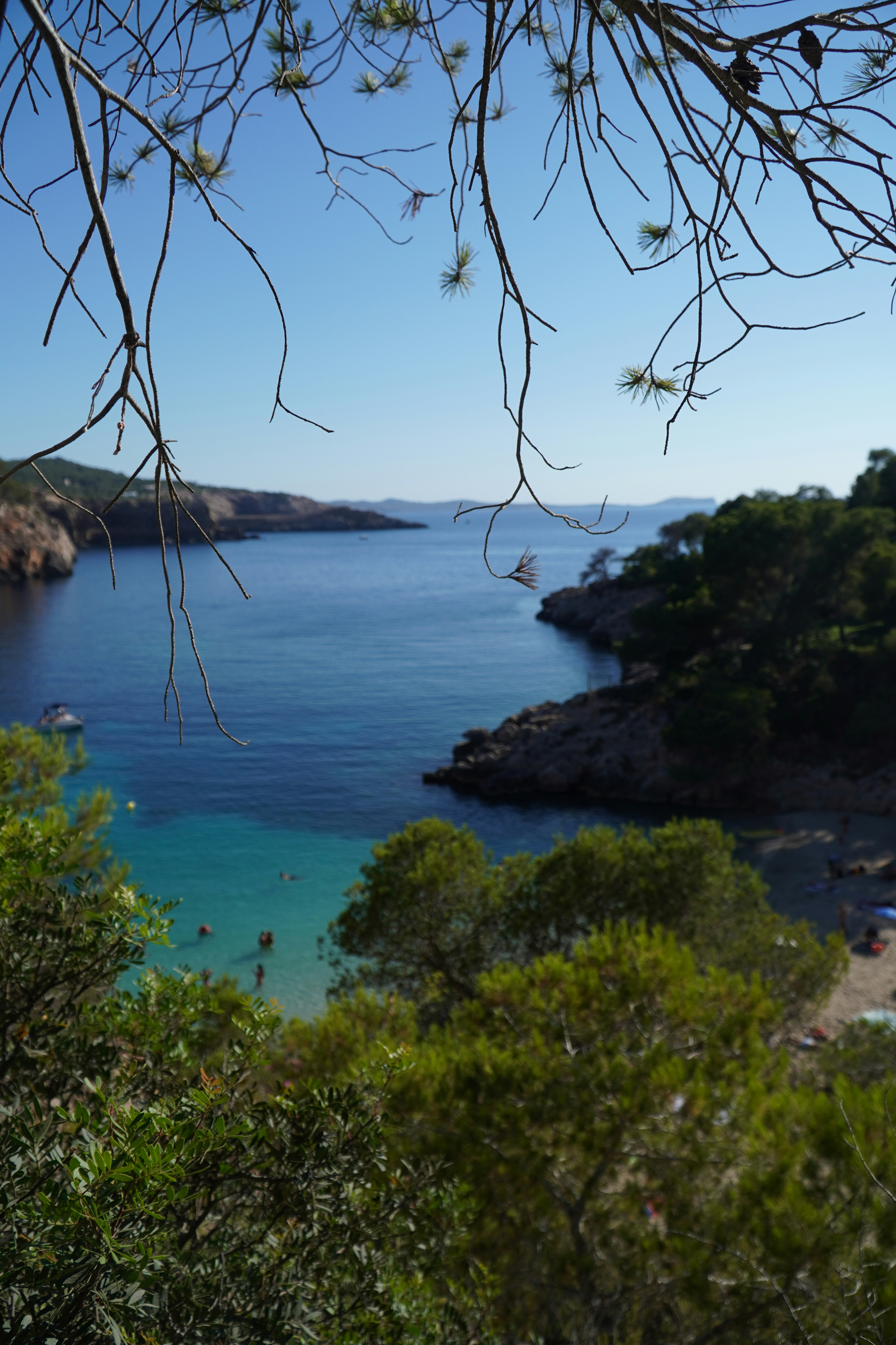 Photo by marcio_azevedo