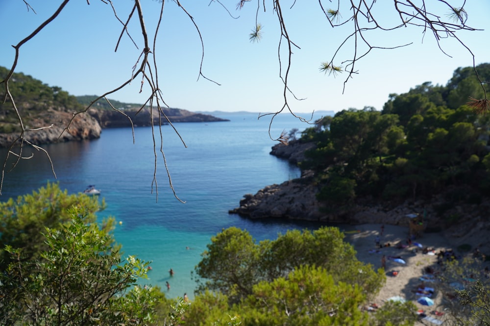 a beach with trees and rocks