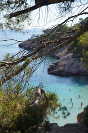 a body of water with trees around it