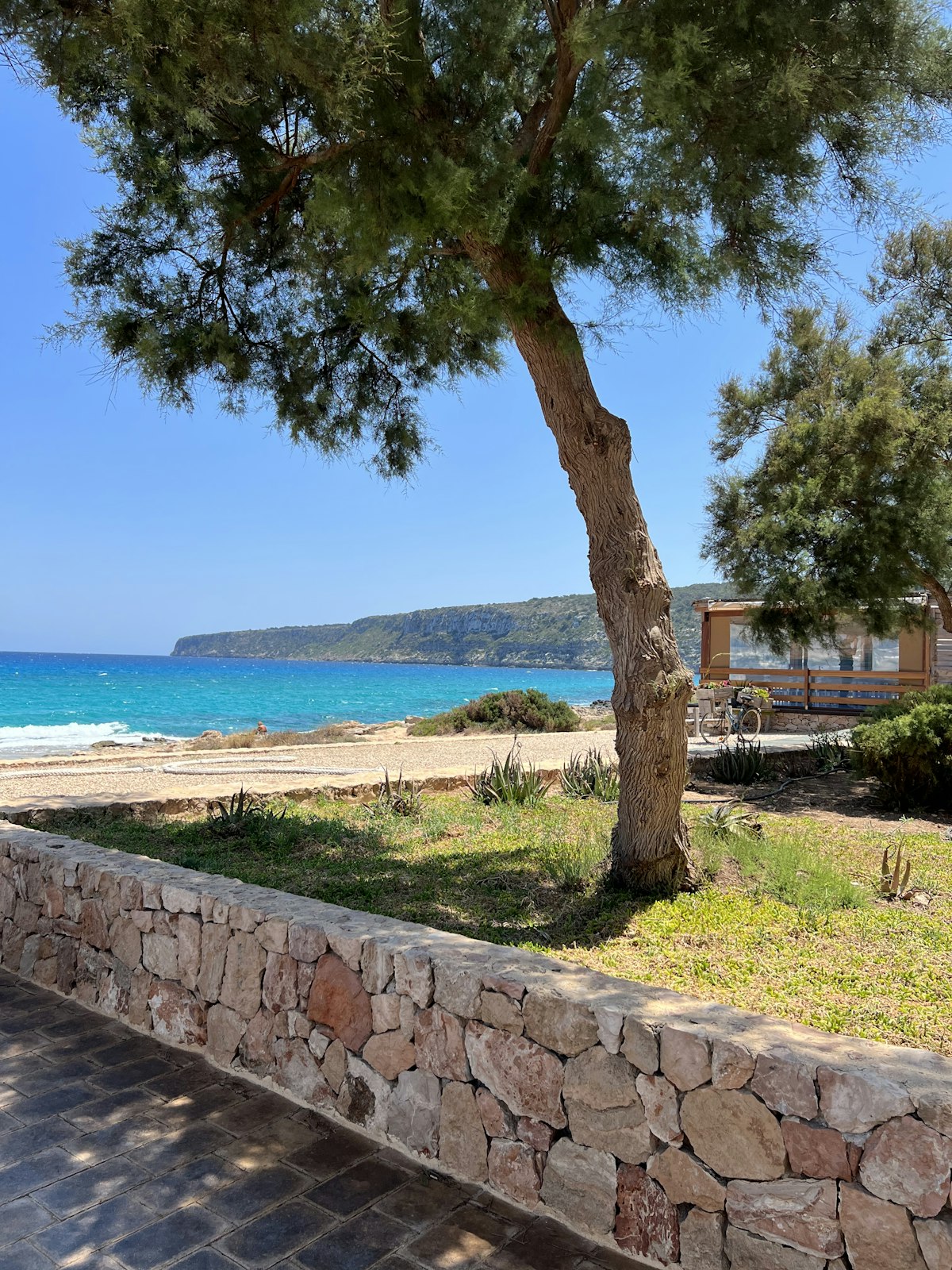 Playa den Bossa — long sandy beach with beach clubs