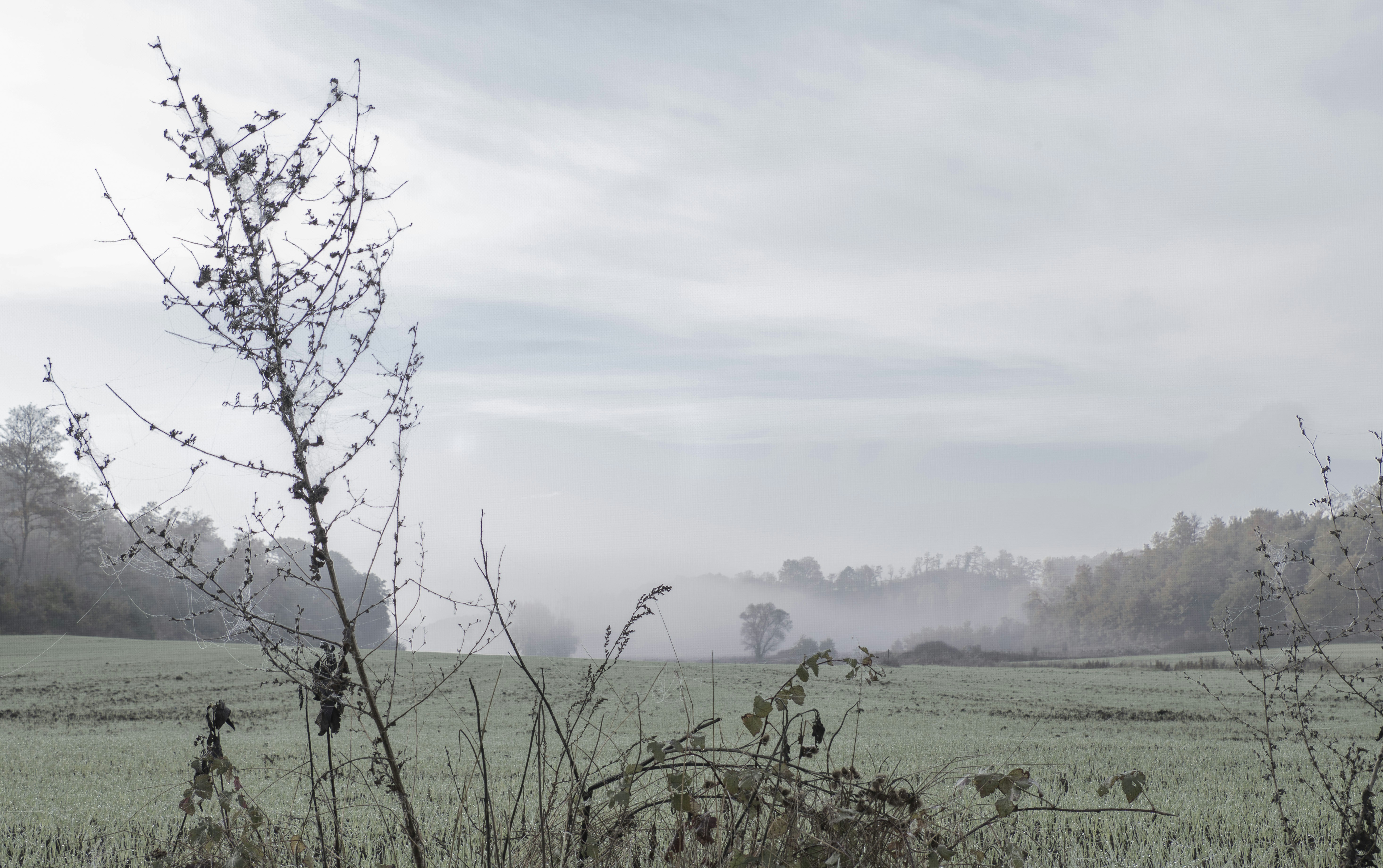 Photo by ema_artworks