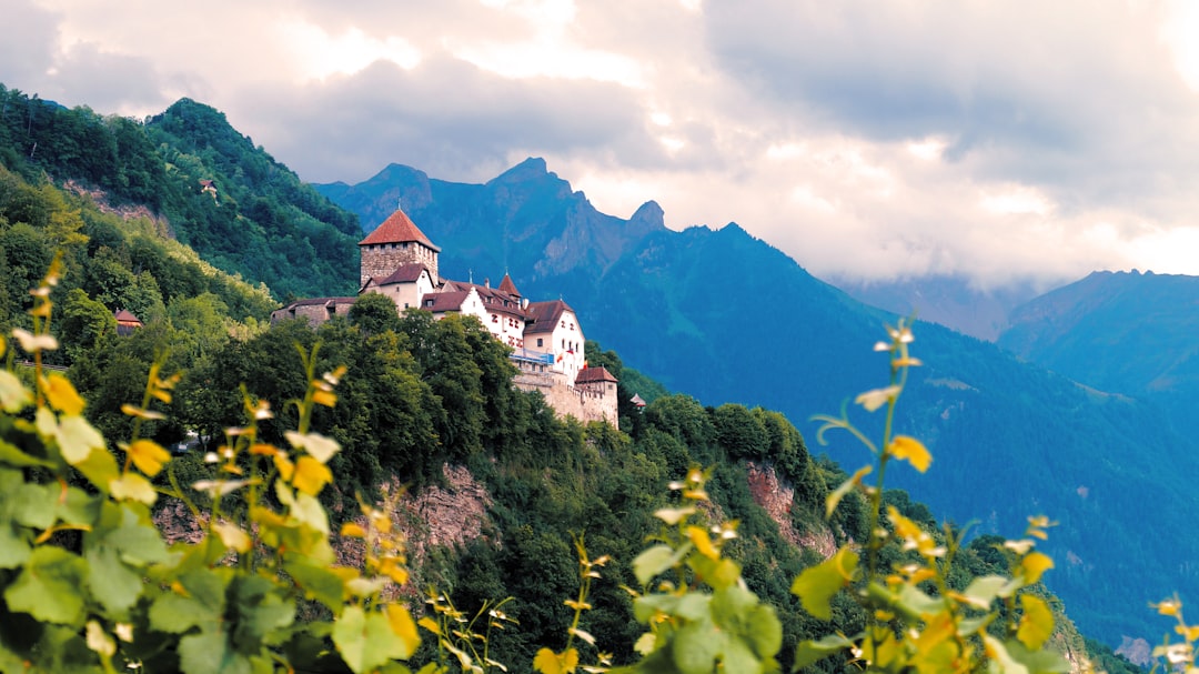 a building on a hill,