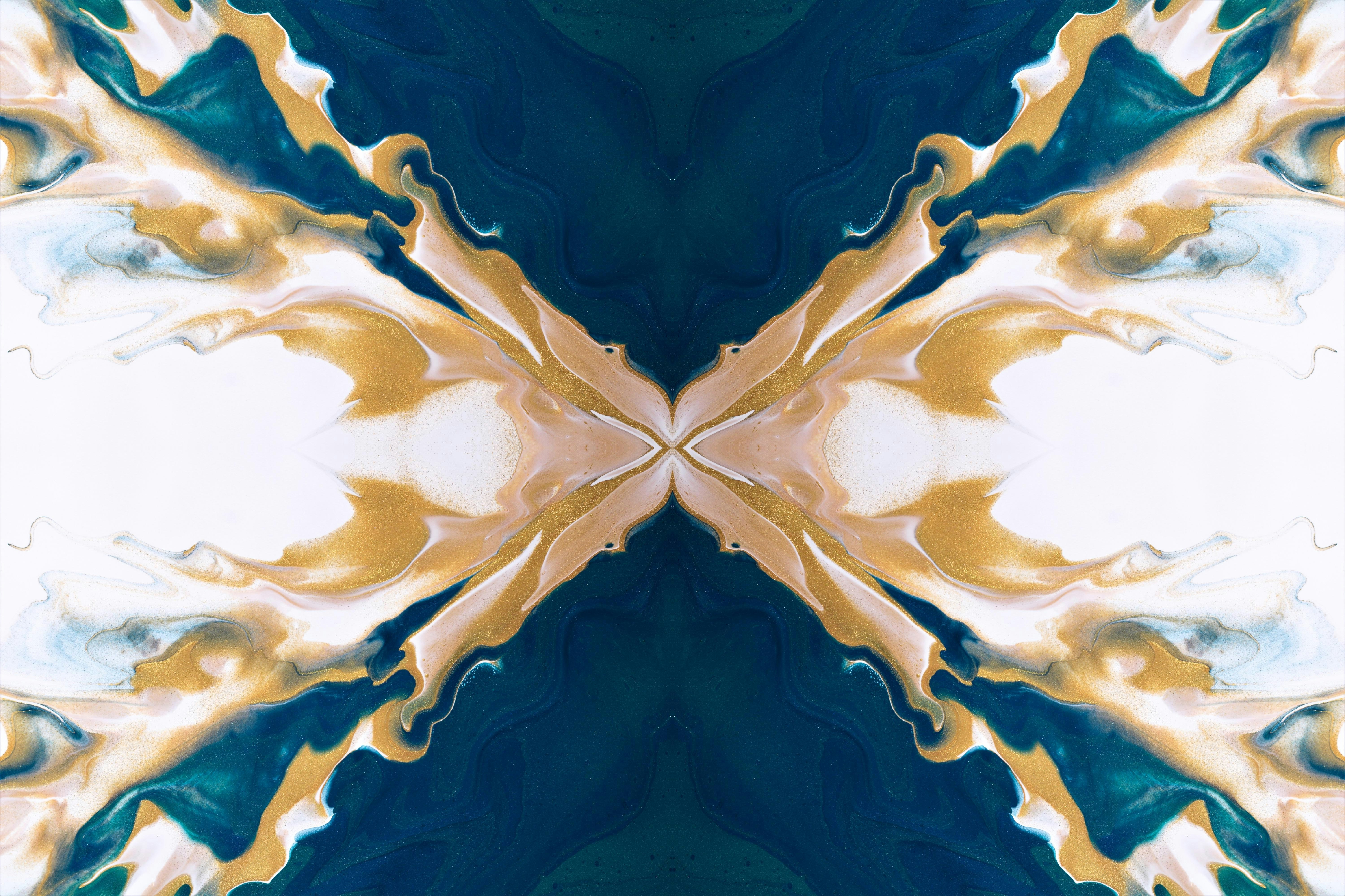 Photo by susan_wilkinson