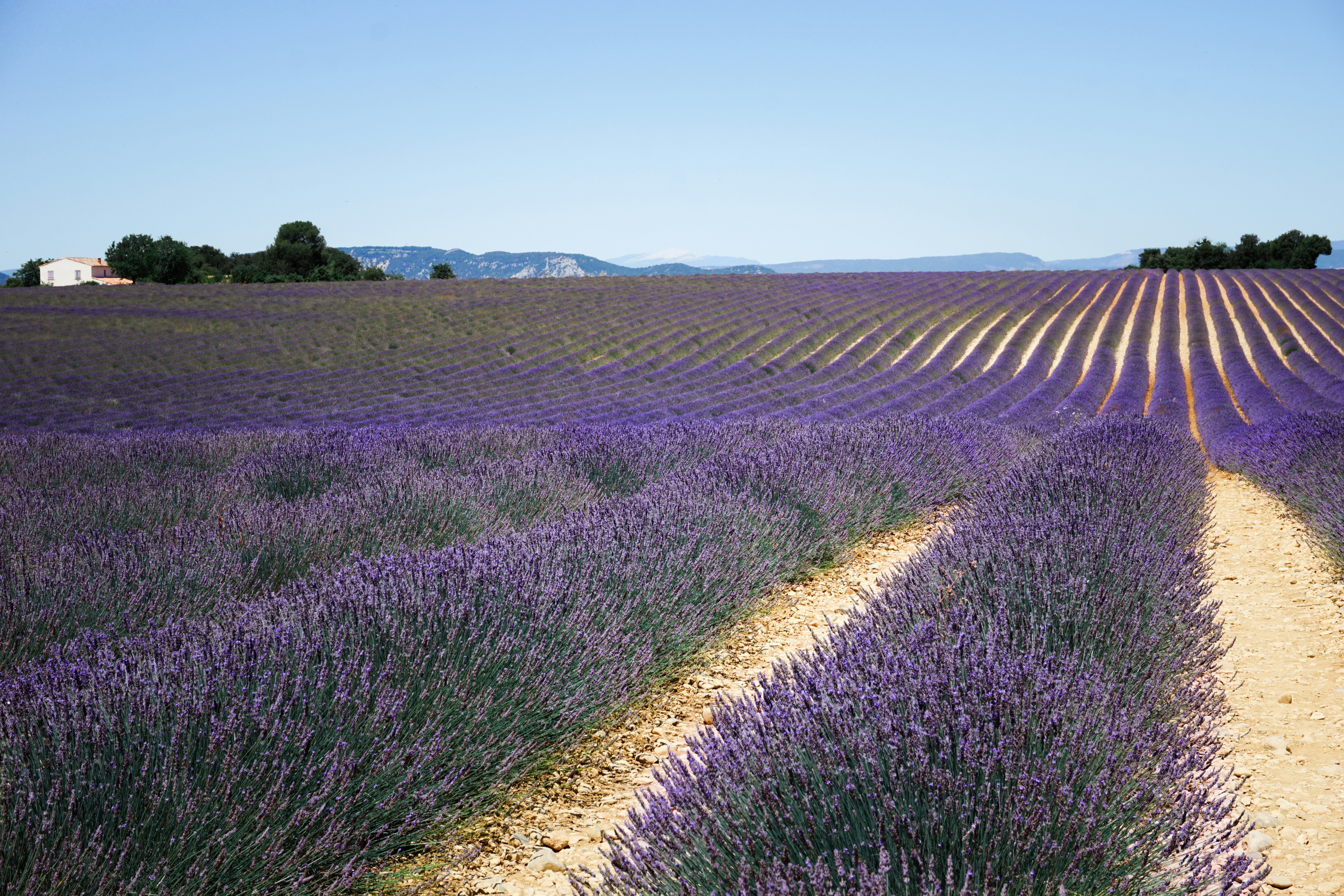 Photo by litschigraphie