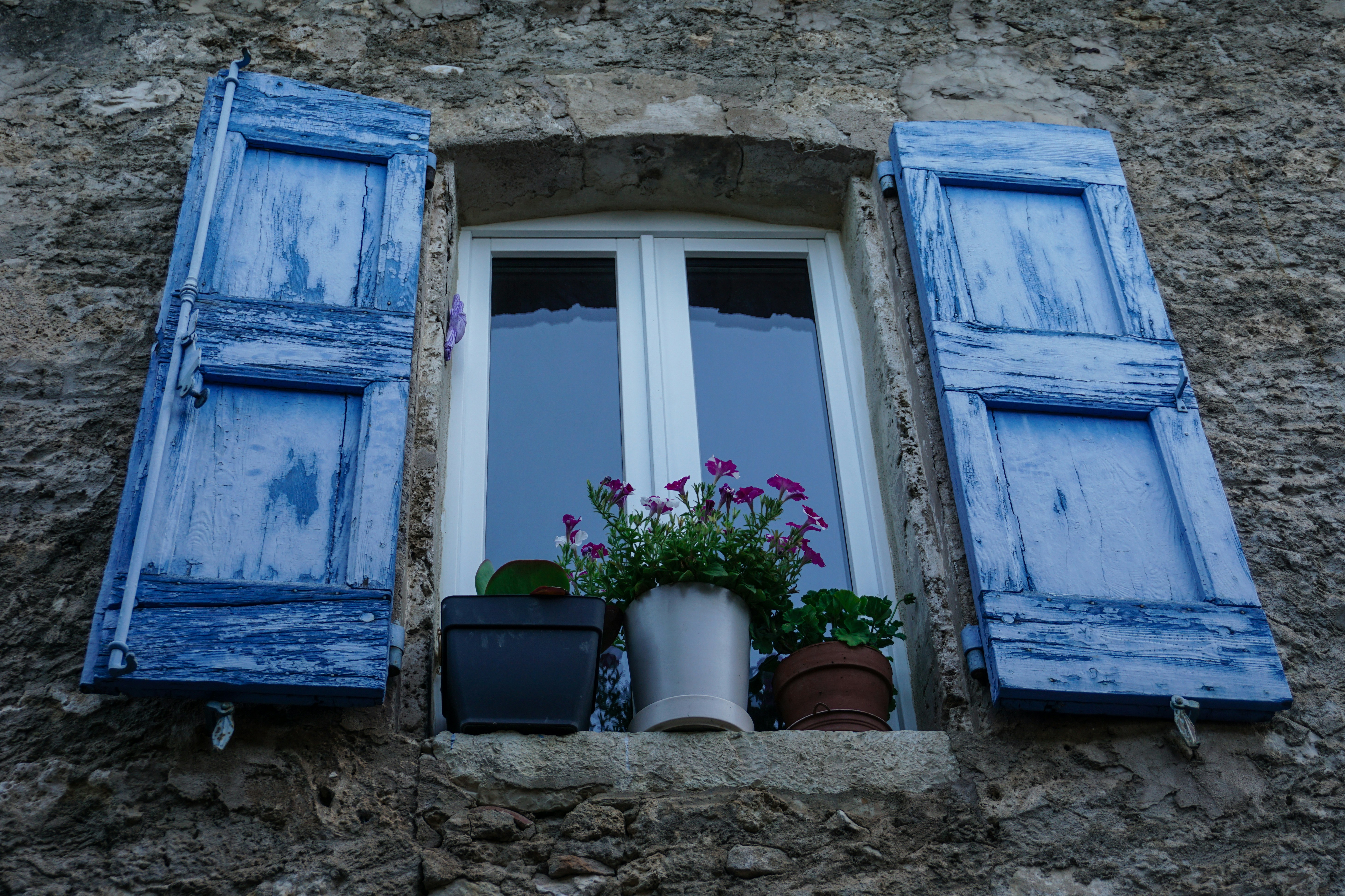 Photo by litschigraphie