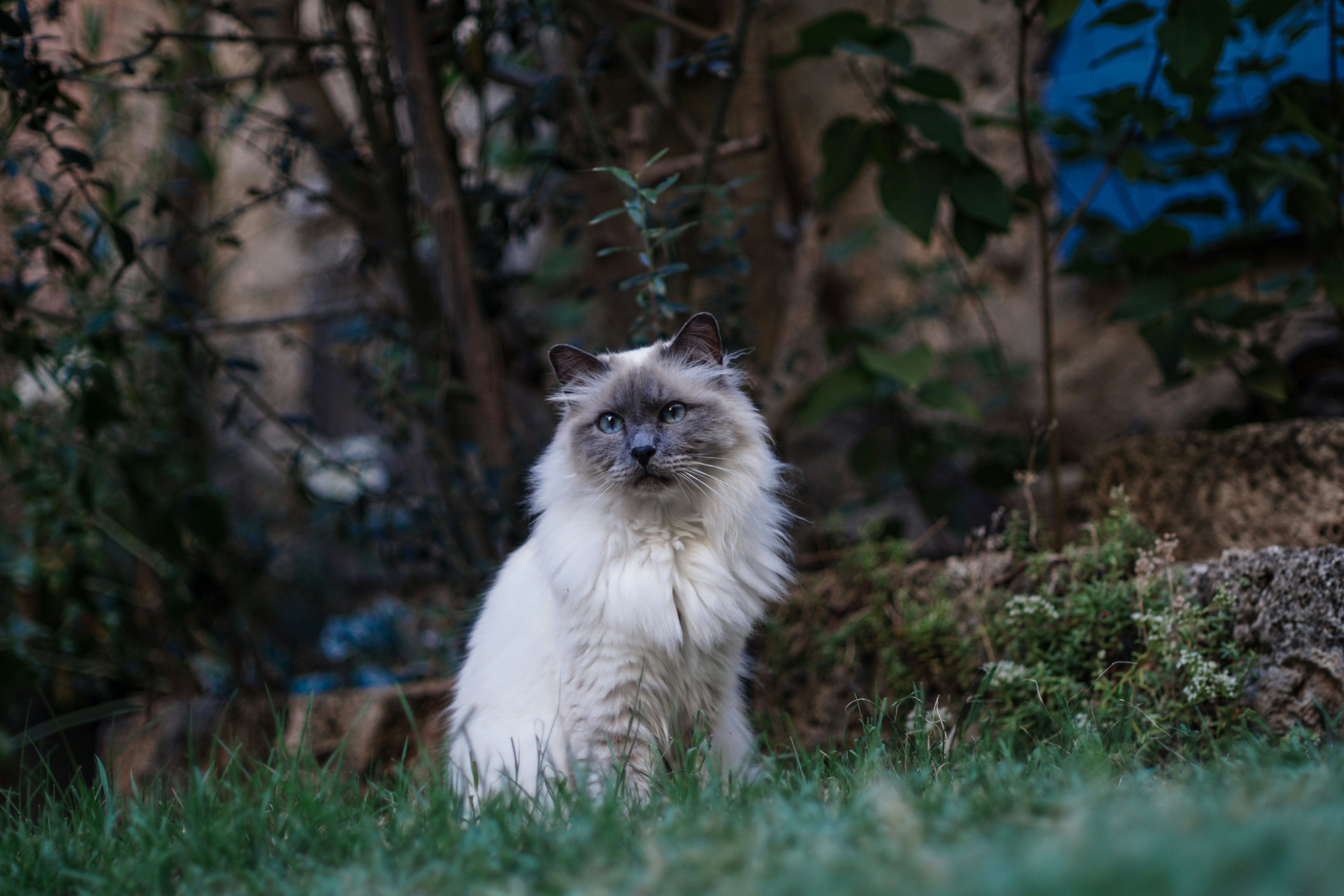 Photo by litschigraphie