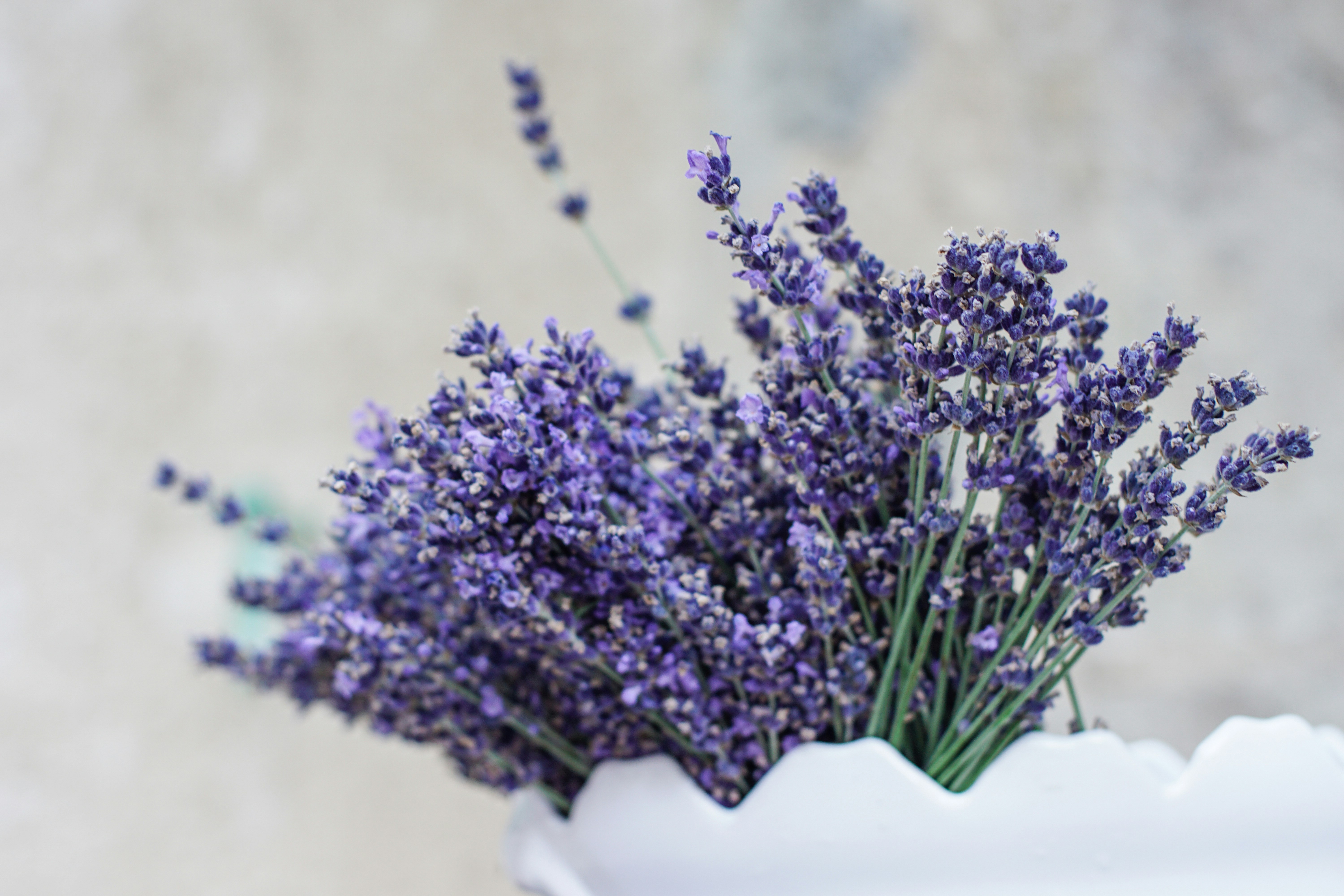 Photo by litschigraphie