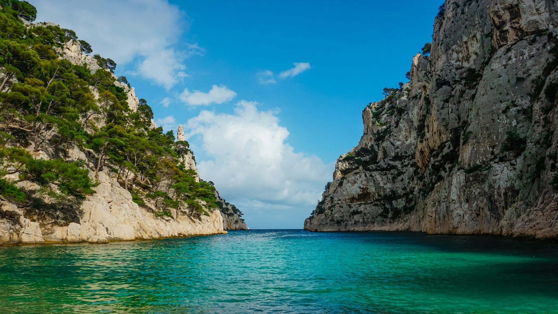 a body of water with a rocky cliff and trees on the side