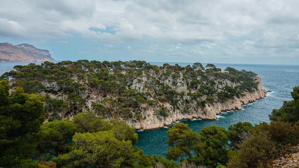 a rocky island with trees and water