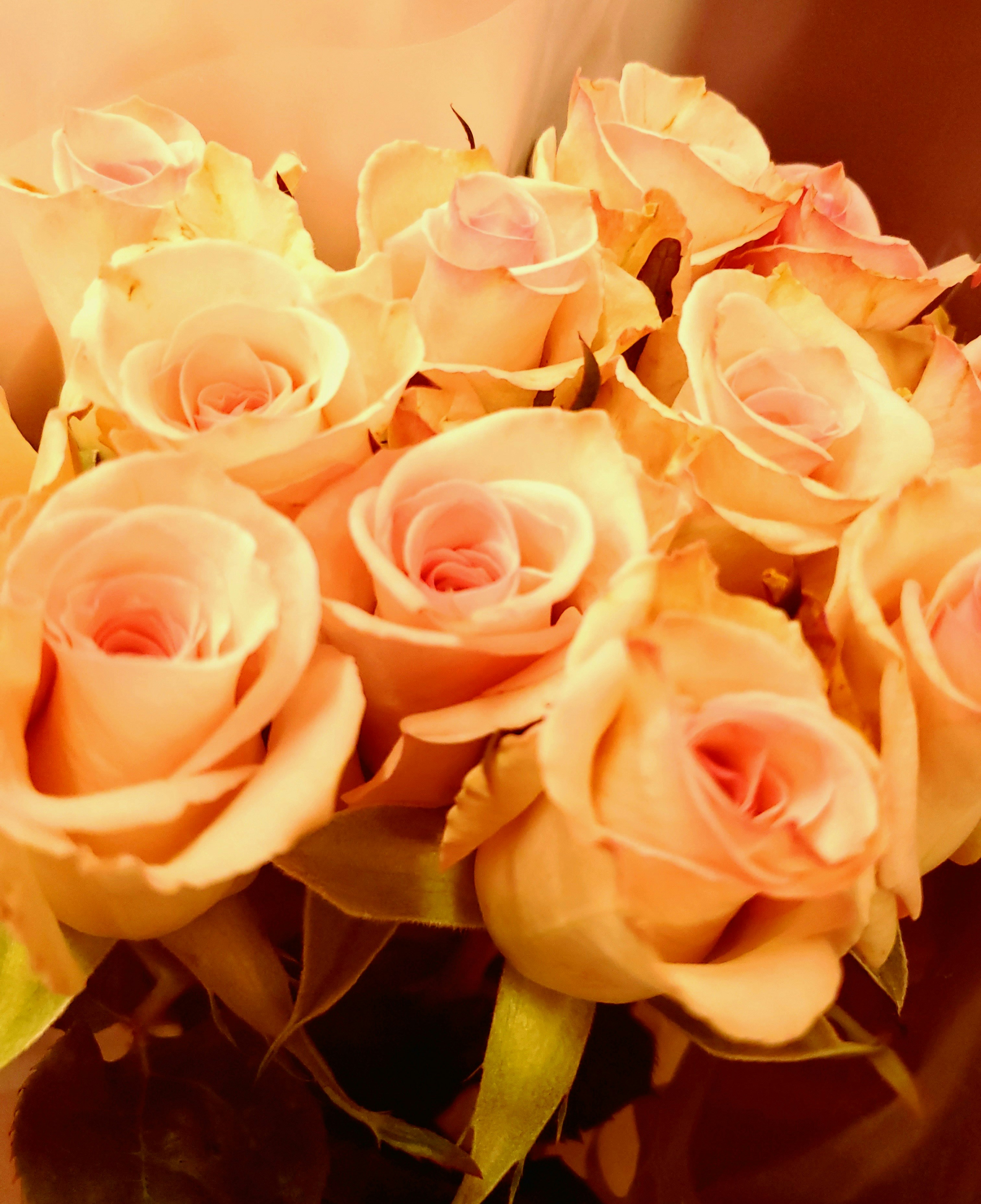 Photo by 31gpurple37