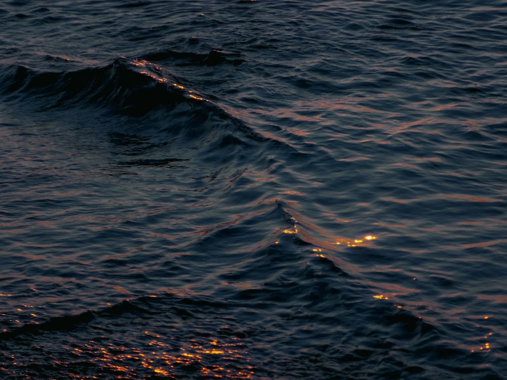 Eine Welle im Ozean
