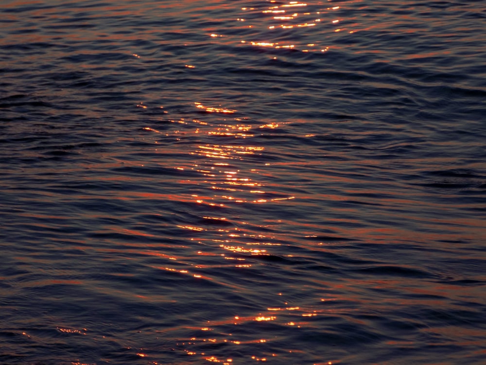 a body of water with a sunset