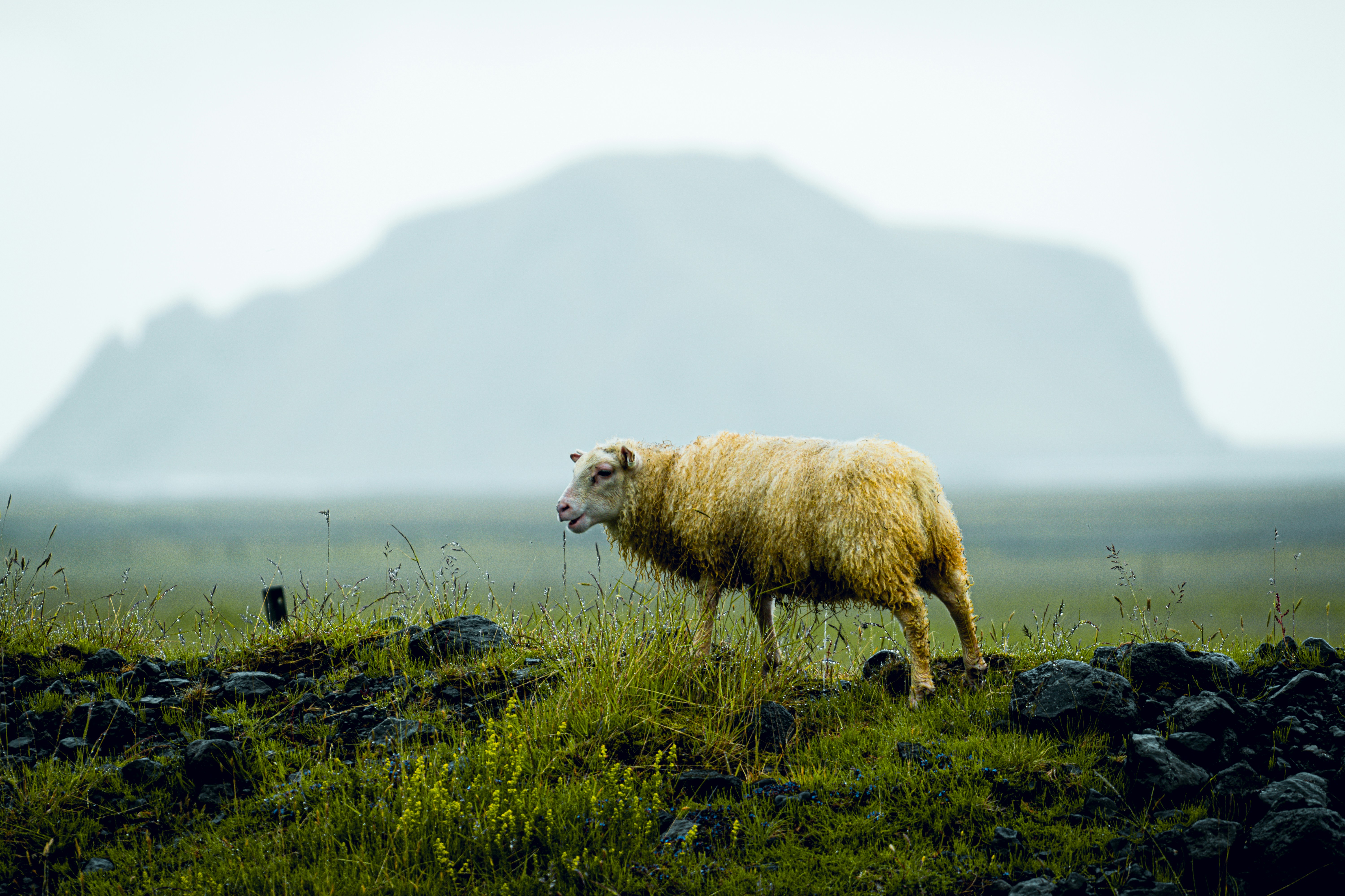 Photo by jacksone