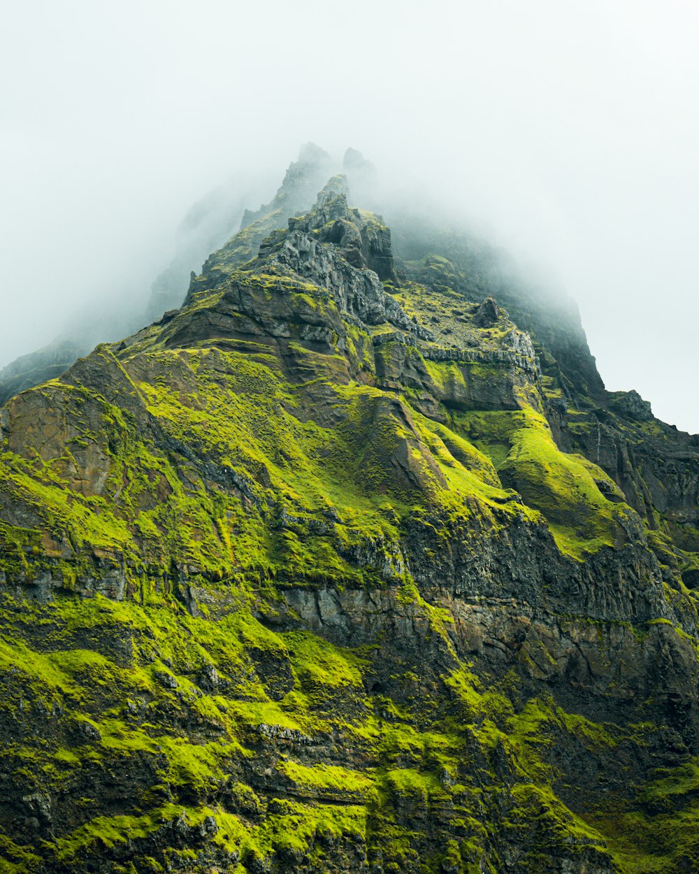 a mountain with green plants