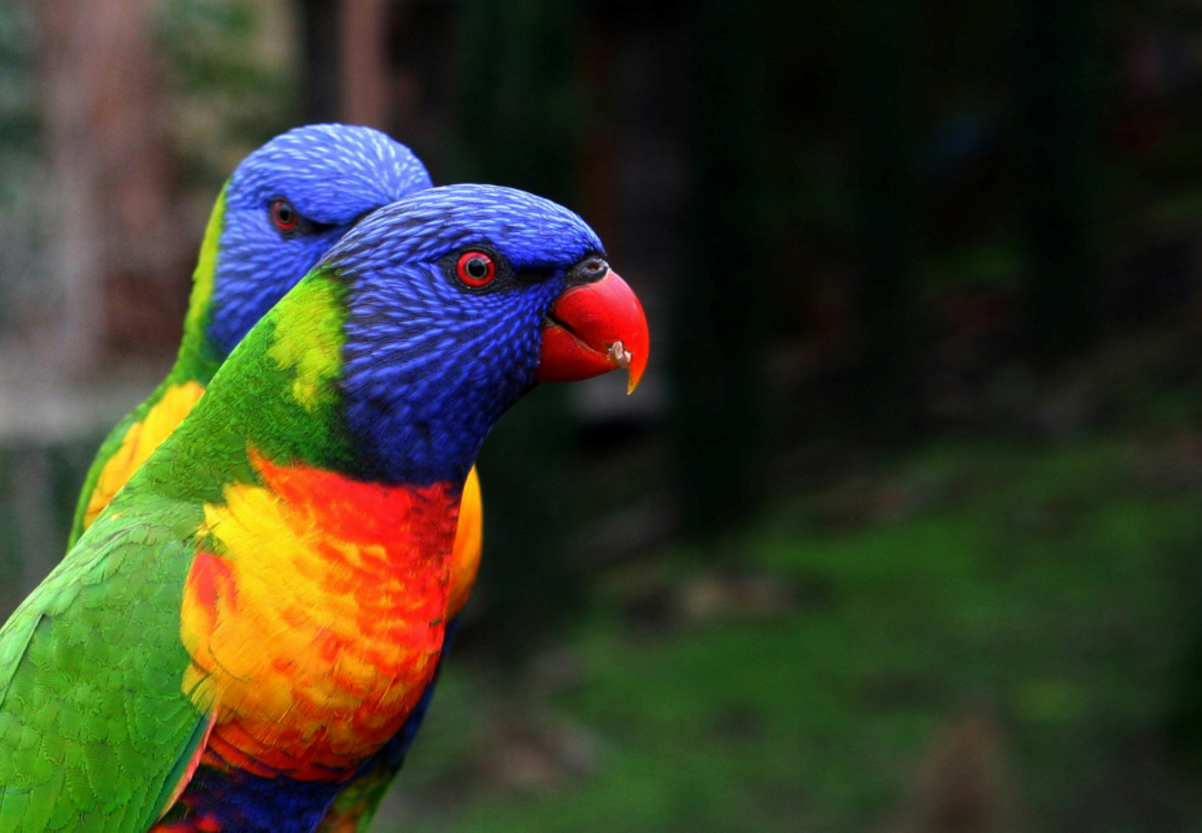 Photo by craigmanners_com