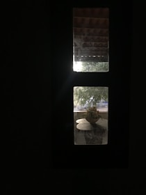 Soft morning light filtering through a window onto a potted plant.