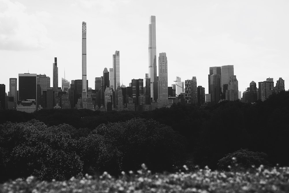 a city skyline with tall buildings